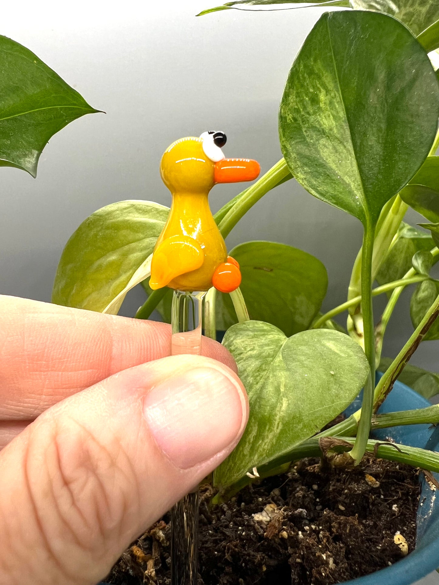 Yellow Duck Glass Plant Stake