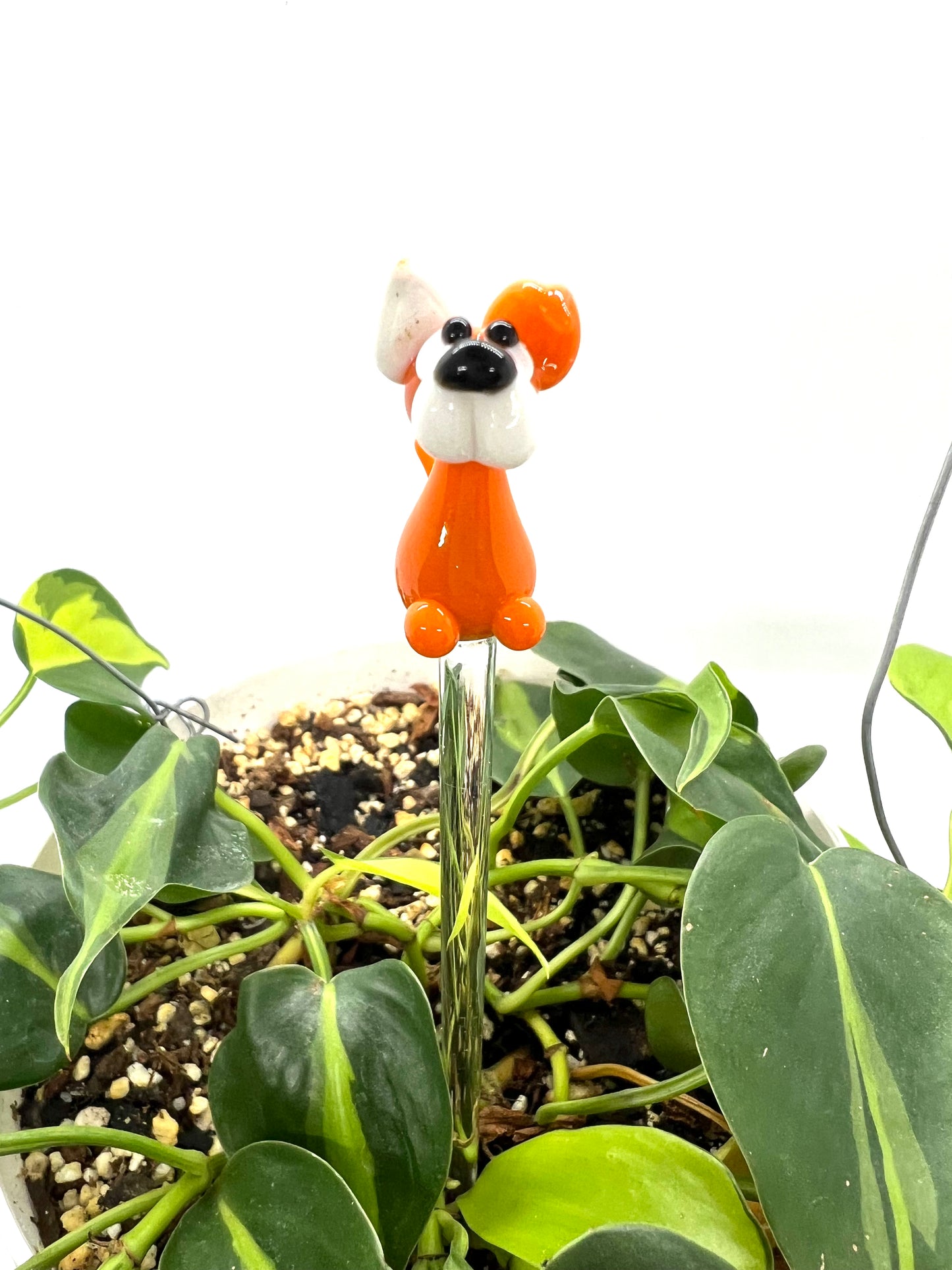 Orange and White Dog Glass Plant Stake