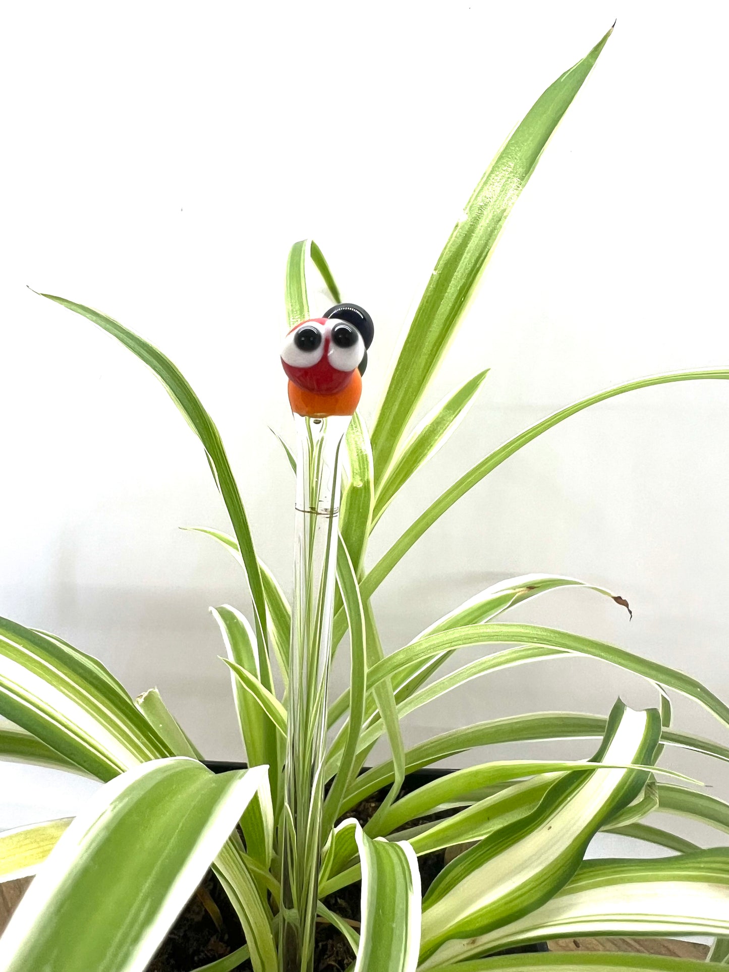 Full Rainbow Caterpillar Plant Stake