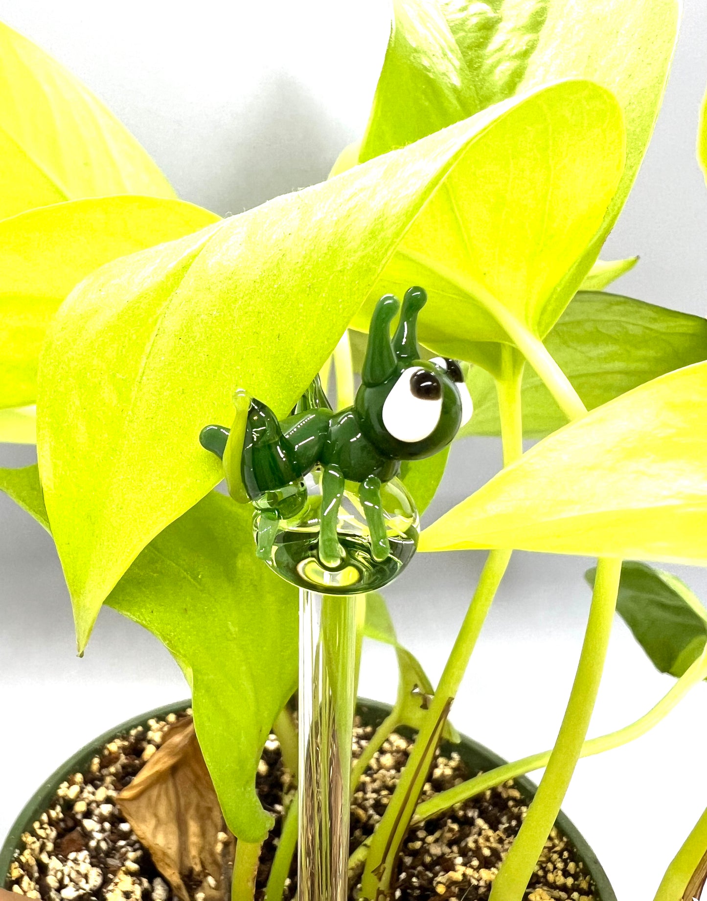 Green Grasshopper Plant Stake