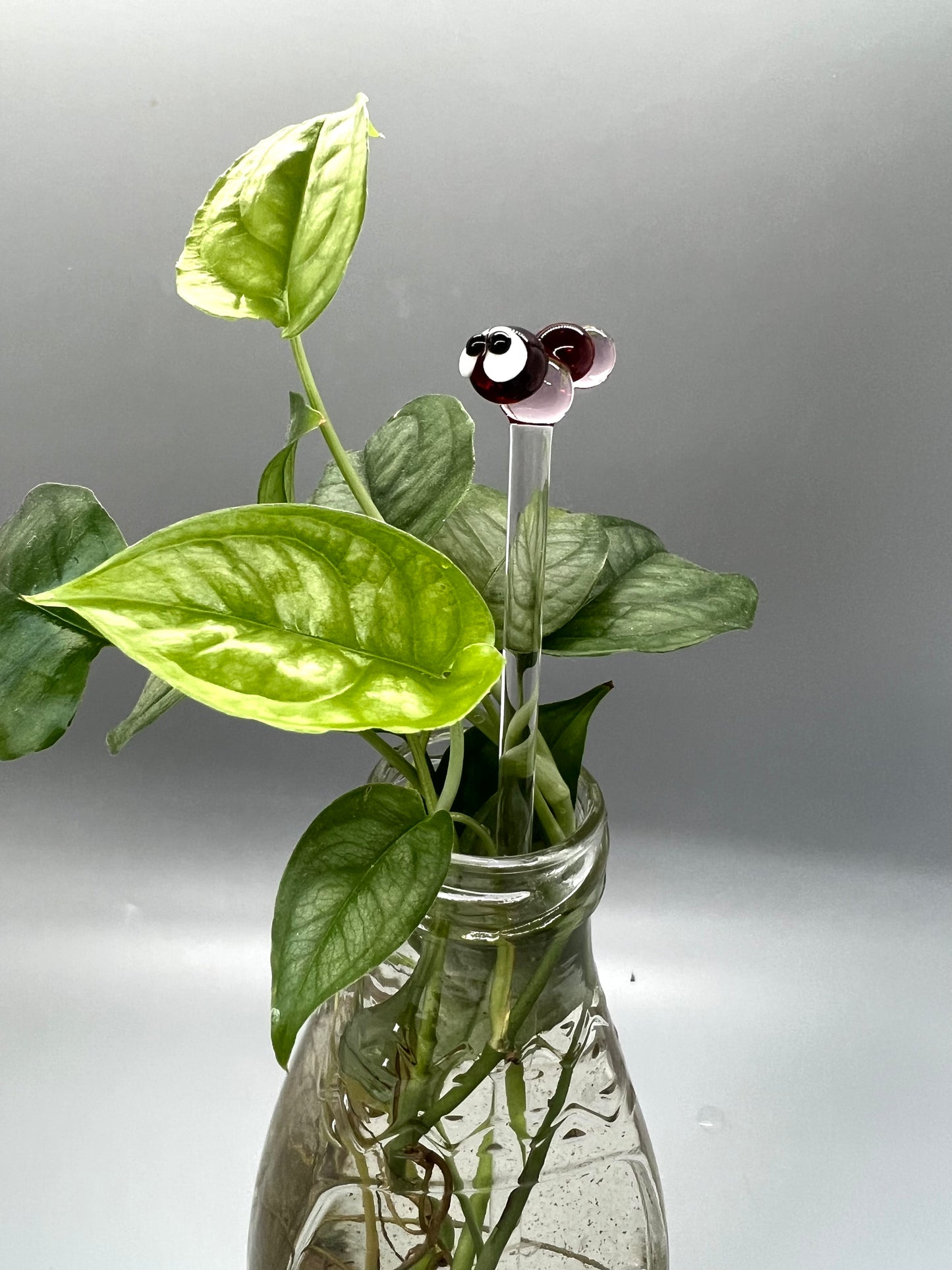 Valentines Caterpillar Glass Plant Stake