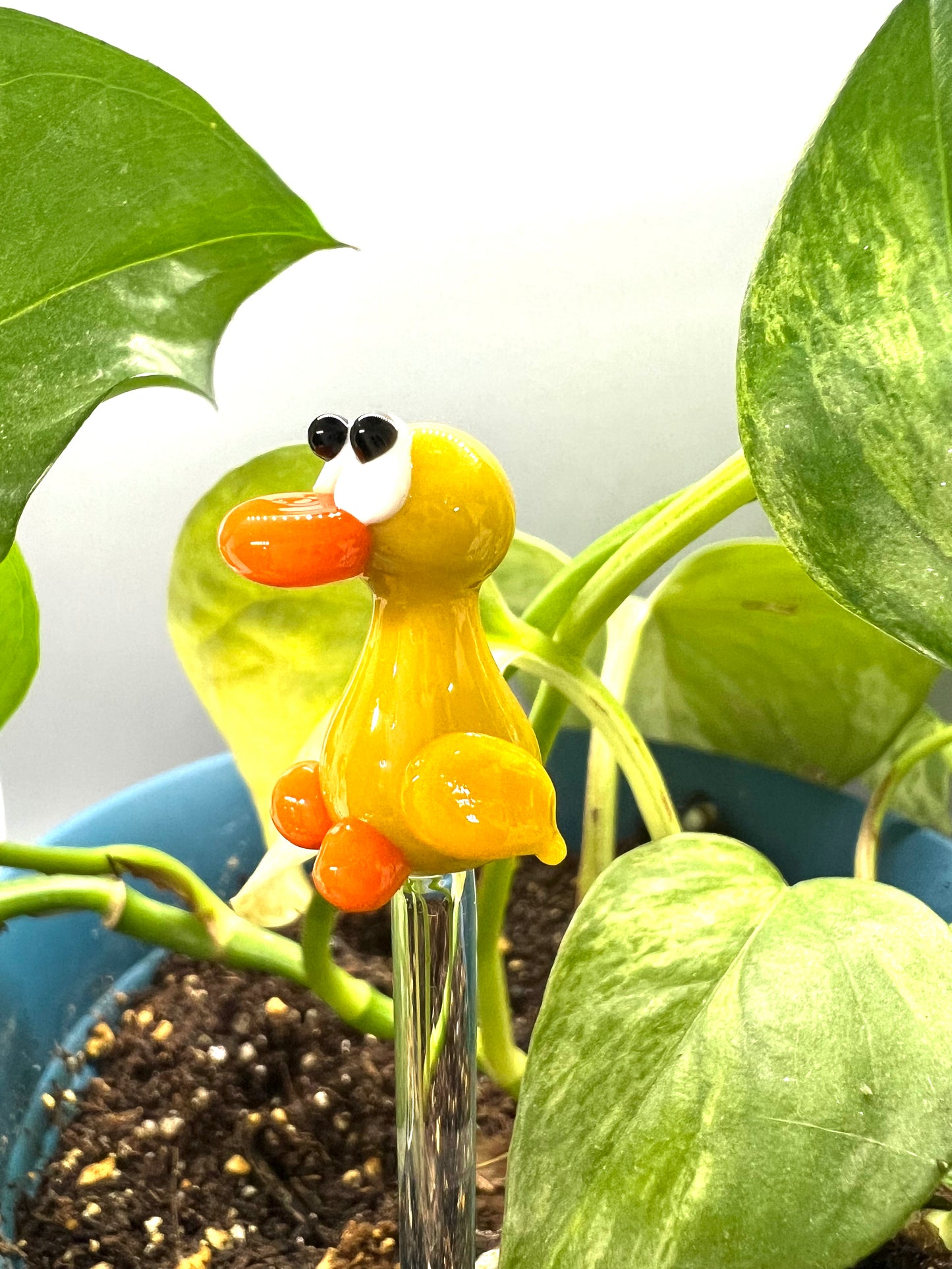 Yellow Duck Glass Plant Stake