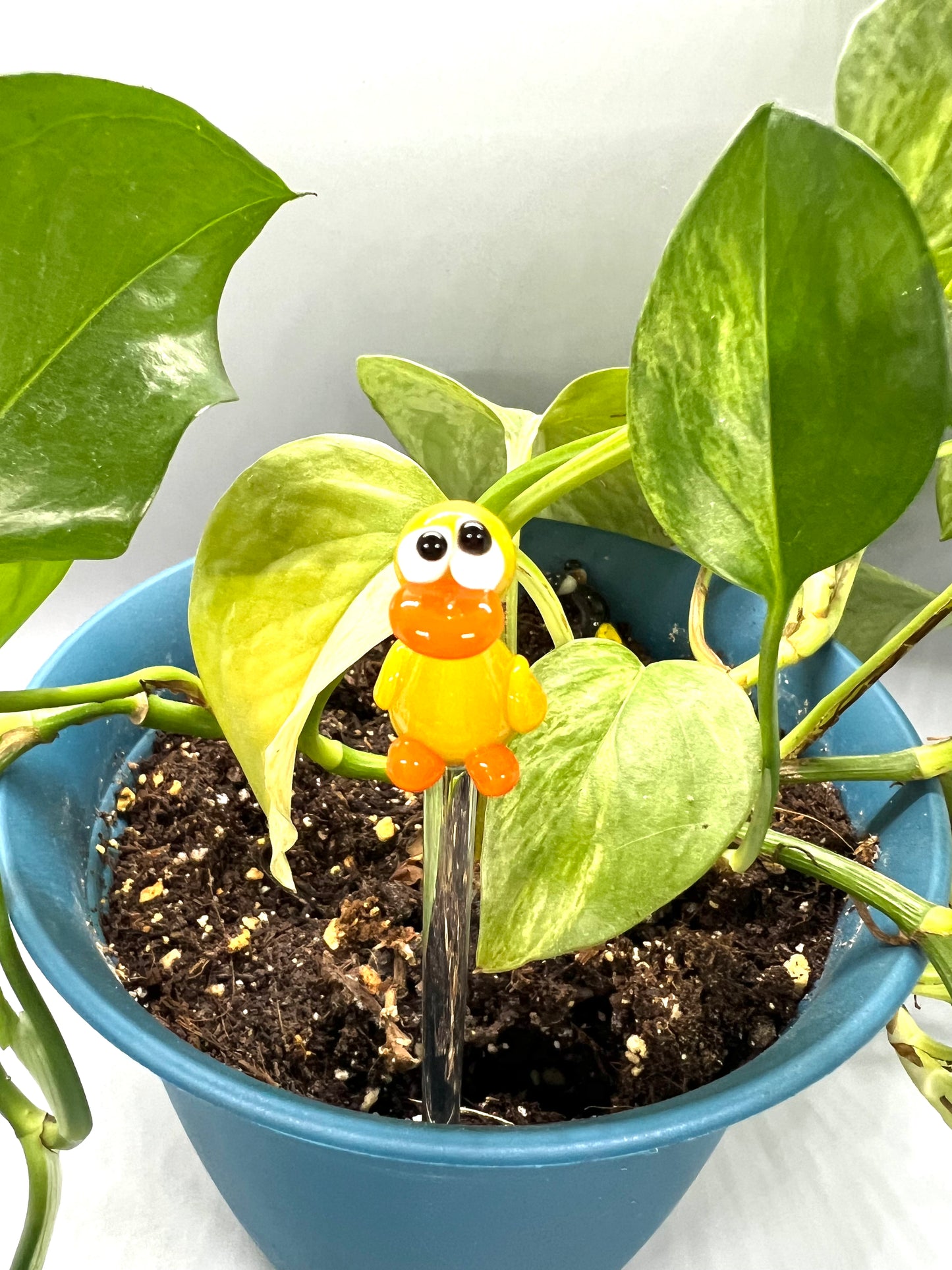 Yellow Duck Glass Plant Stake