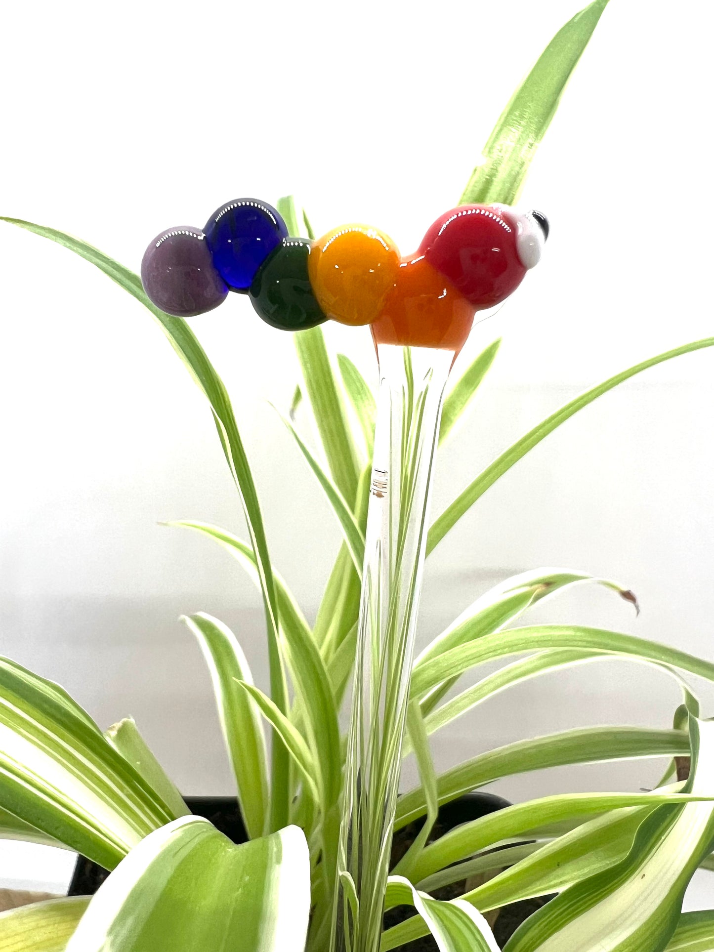Full Rainbow Caterpillar Plant Stake