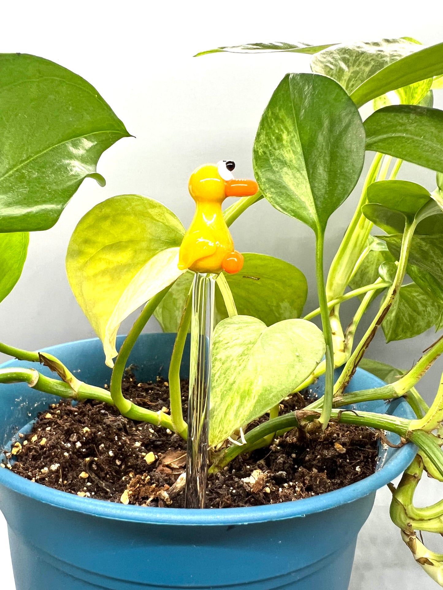 Yellow Duck Glass Plant Stake