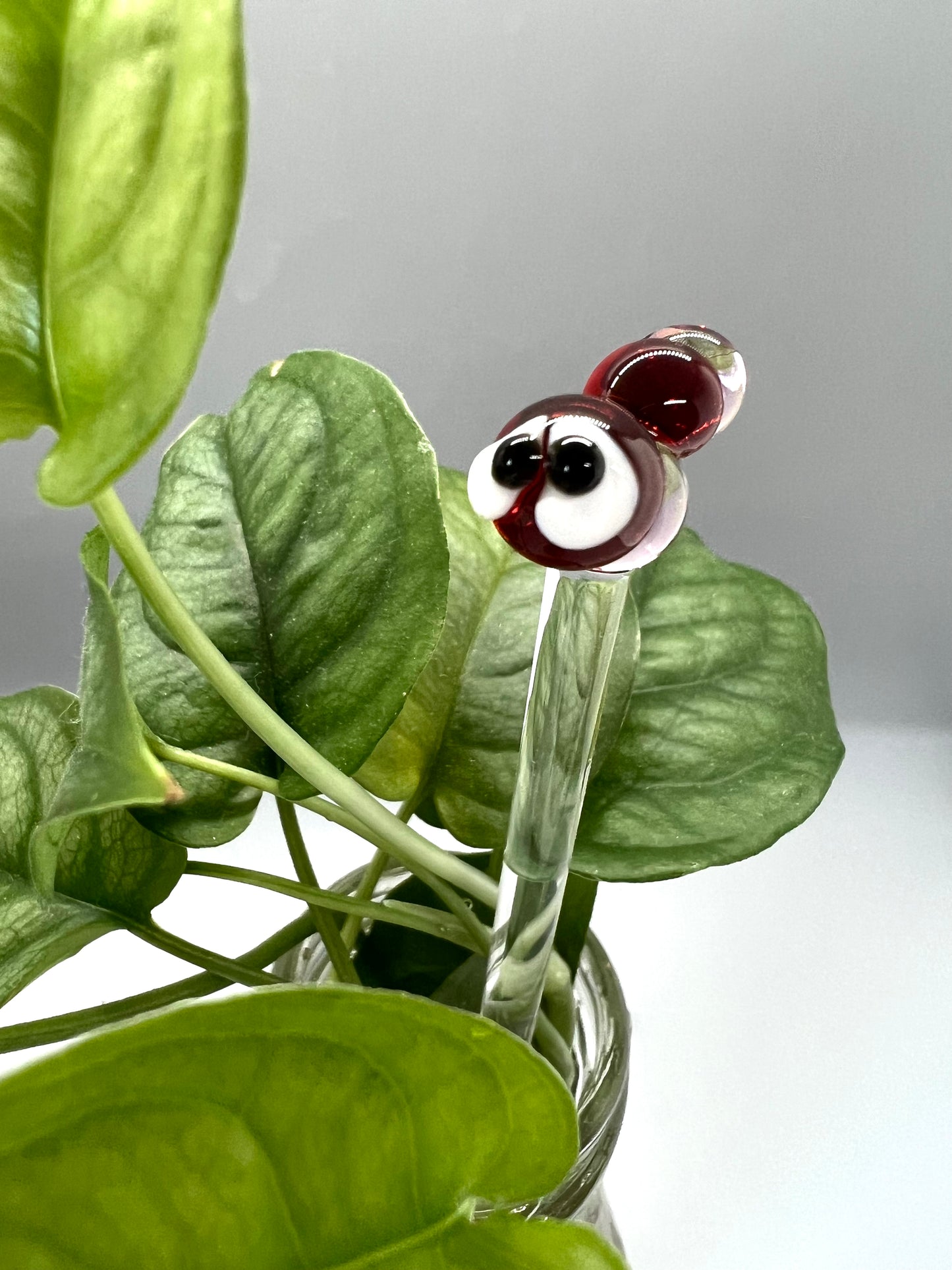 Valentines Caterpillar Glass Plant Stake