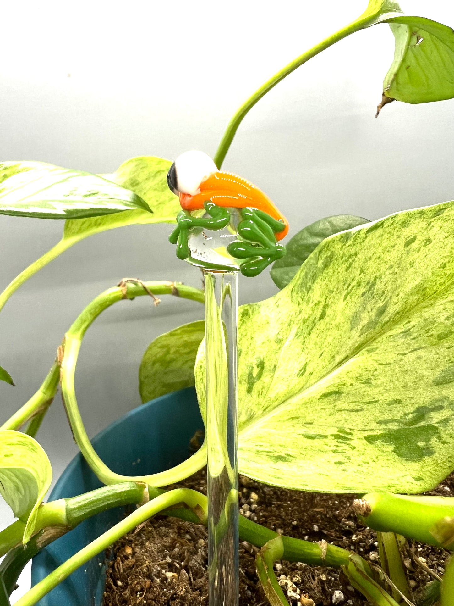 Pumpkin Frog Glass Plant Stake
