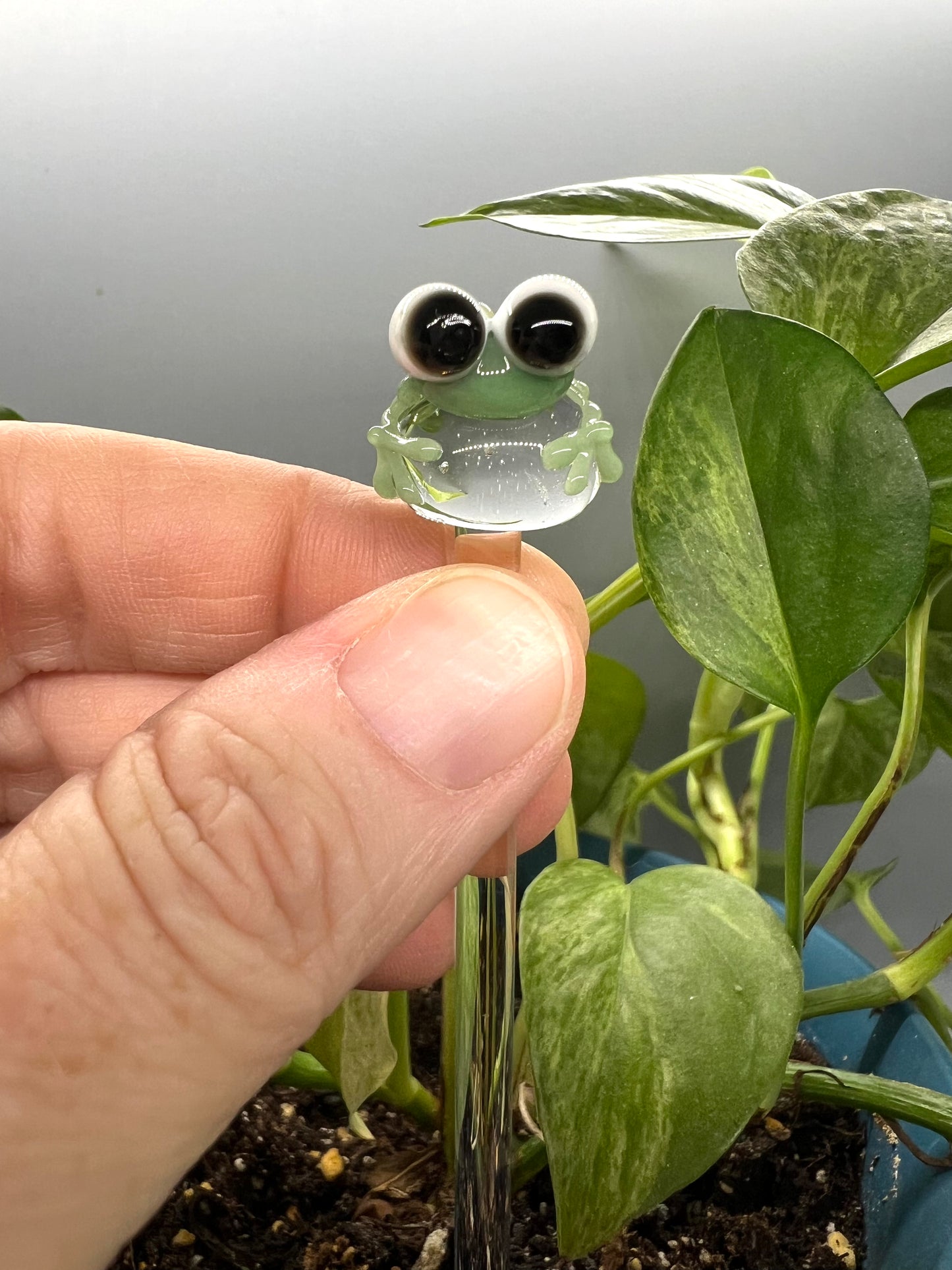 Sage Green Frog Glass Plant Stake