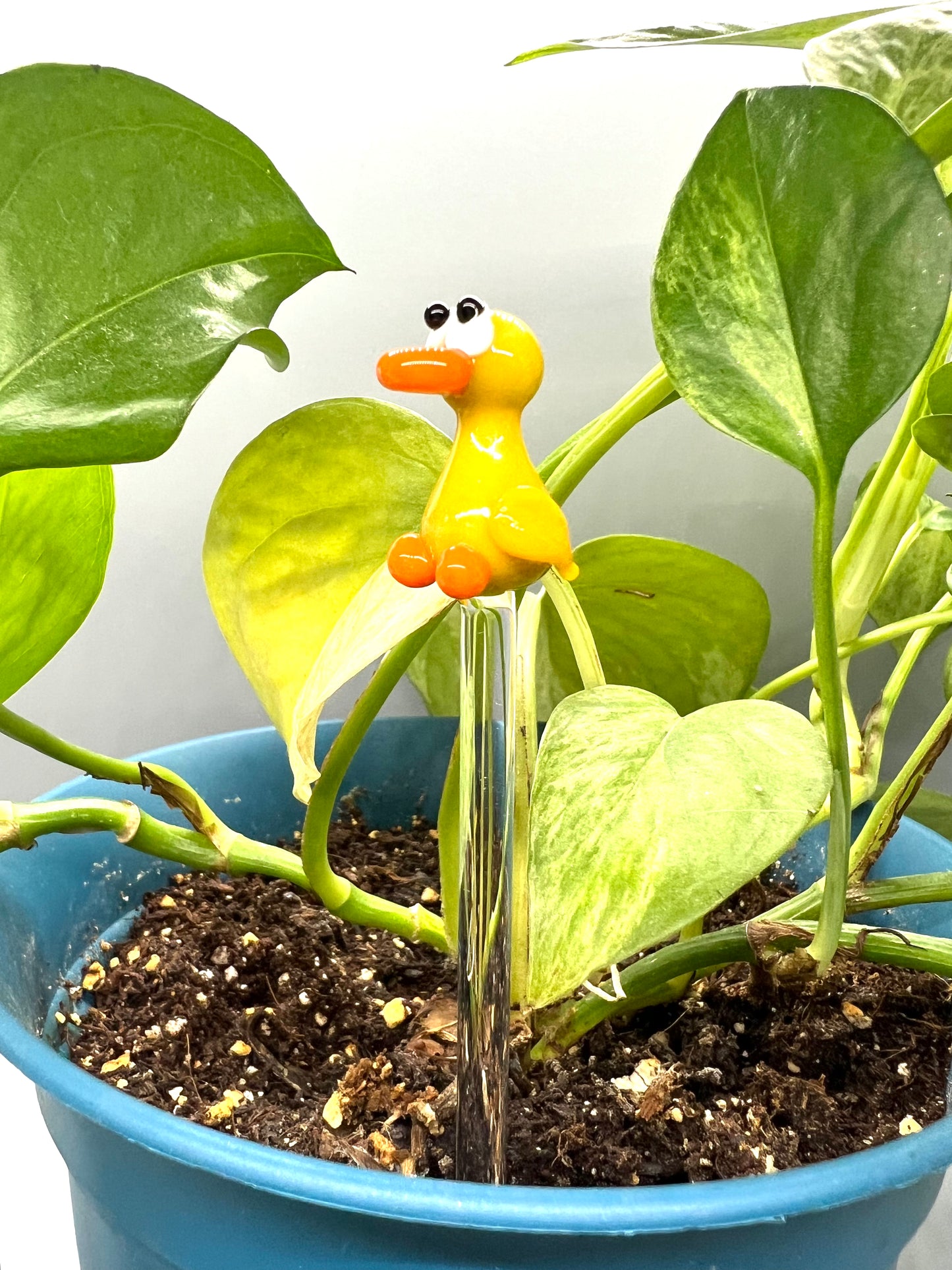 Yellow Duck Glass Plant Stake