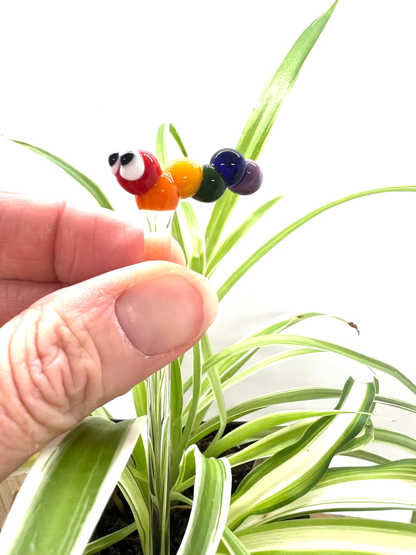 Full Rainbow Caterpillar Plant Stake