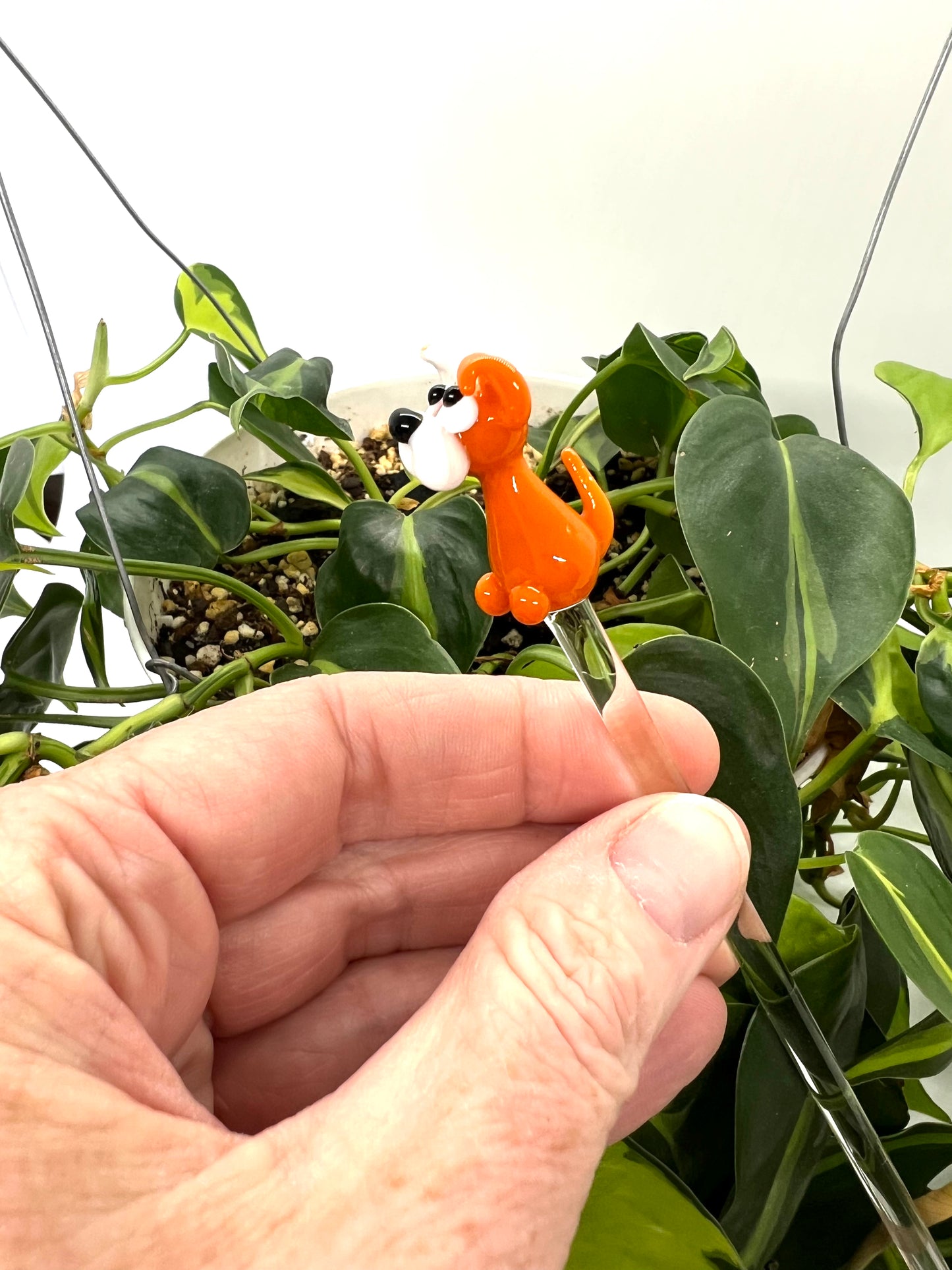 Orange and White Dog Glass Plant Stake
