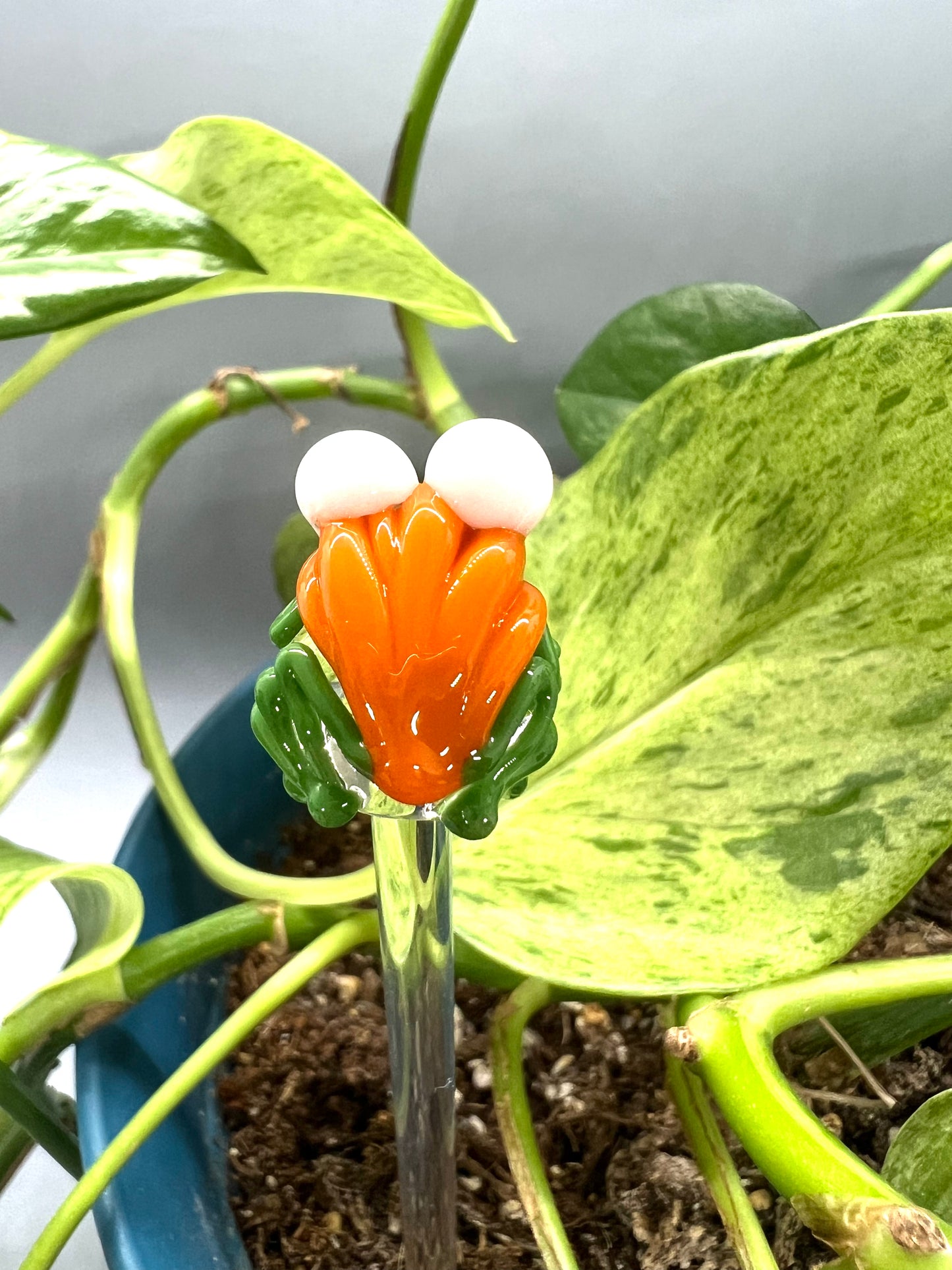 Pumpkin Frog Glass Plant Stake