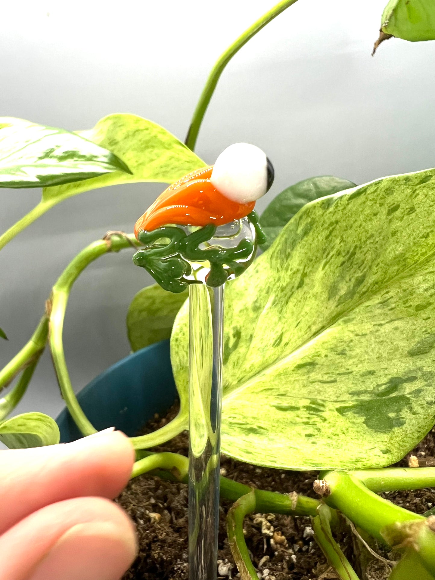Pumpkin Frog Glass Plant Stake
