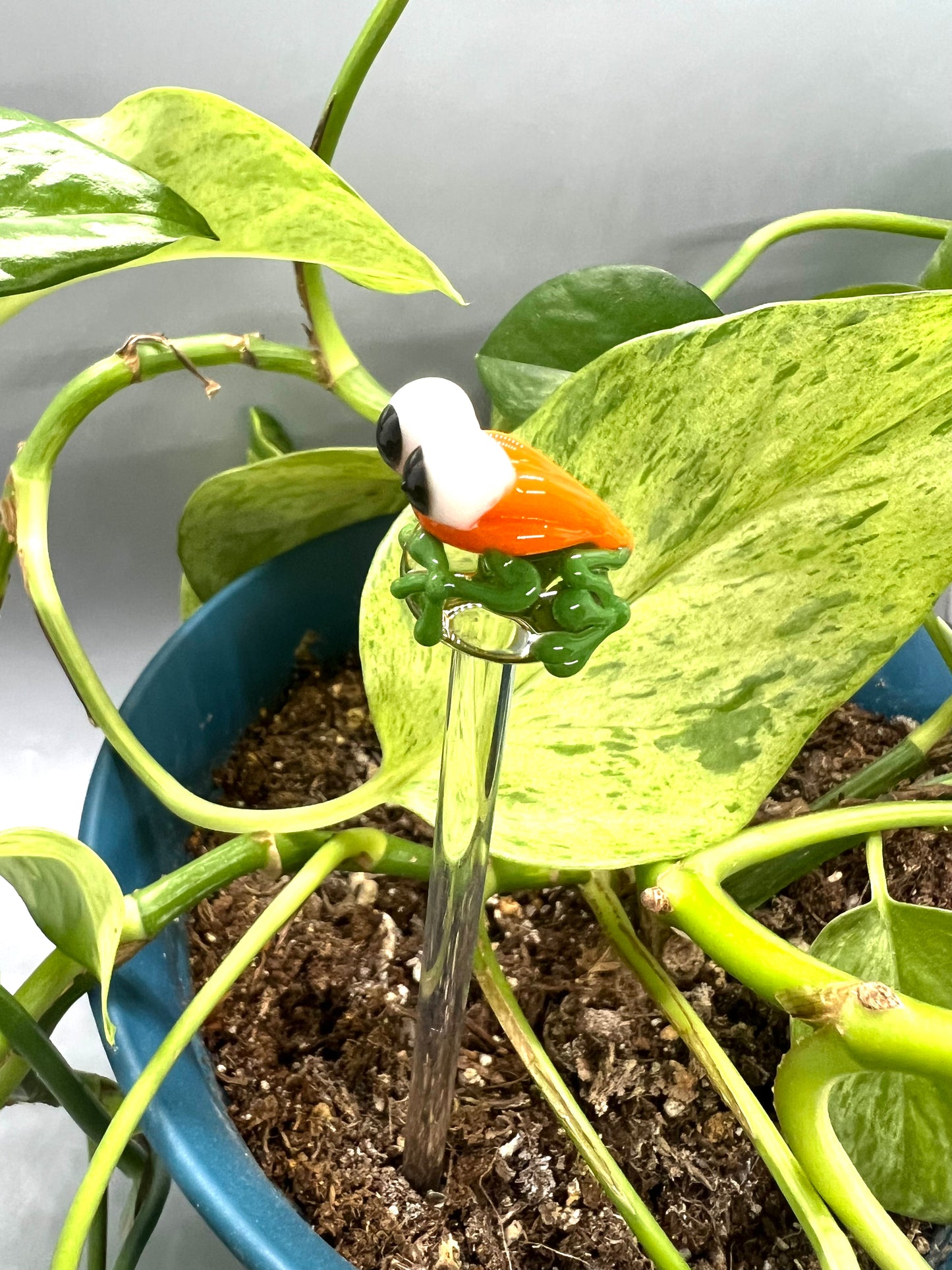 Pumpkin Frog Glass Plant Stake