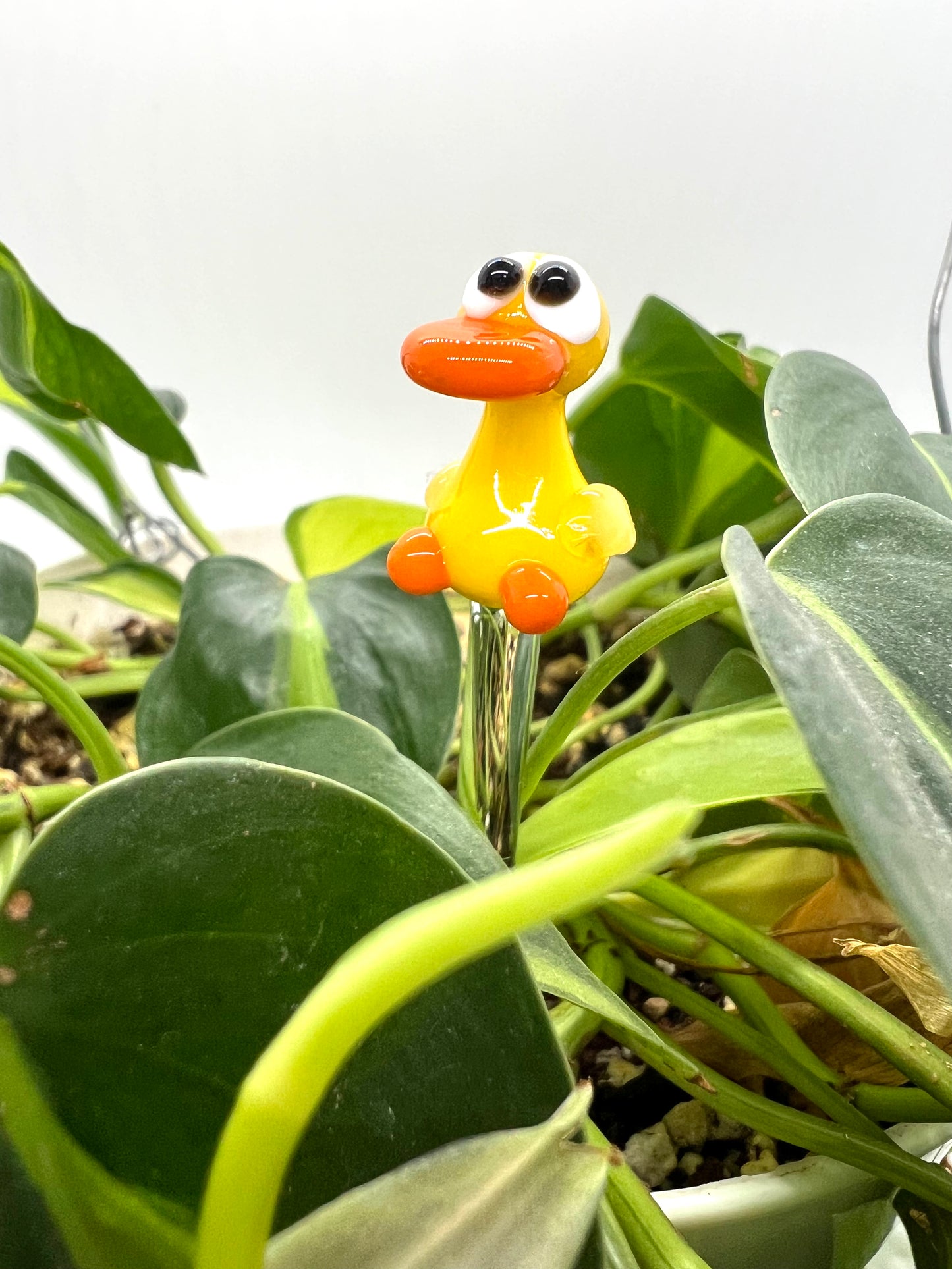 Bright Yellow Duck Glass Plant Stake