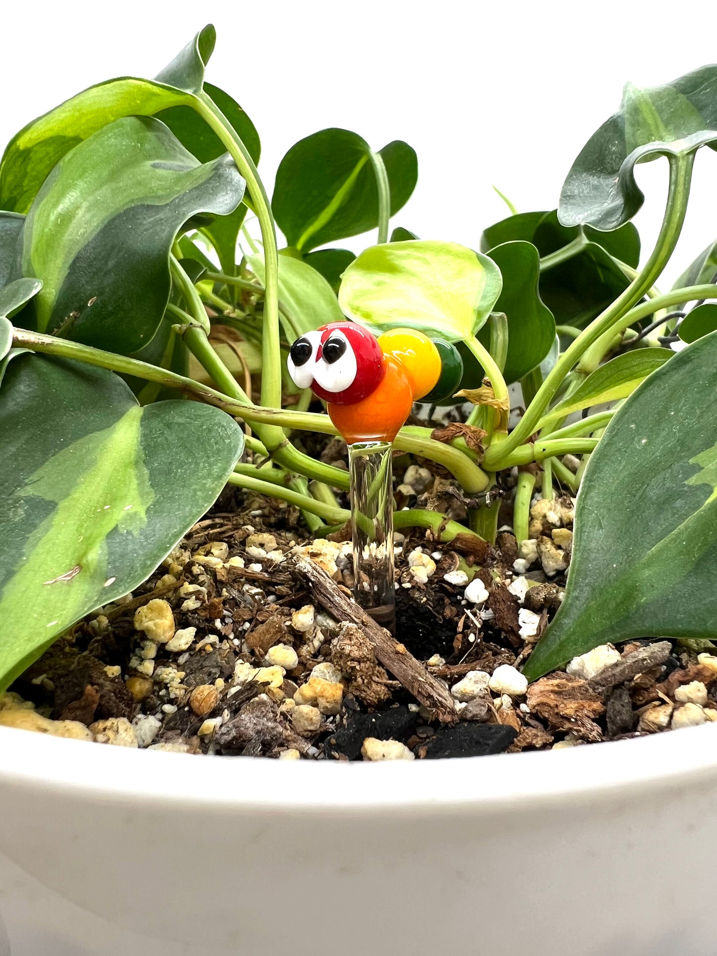 Rainbow Caterpillar Plant Stake