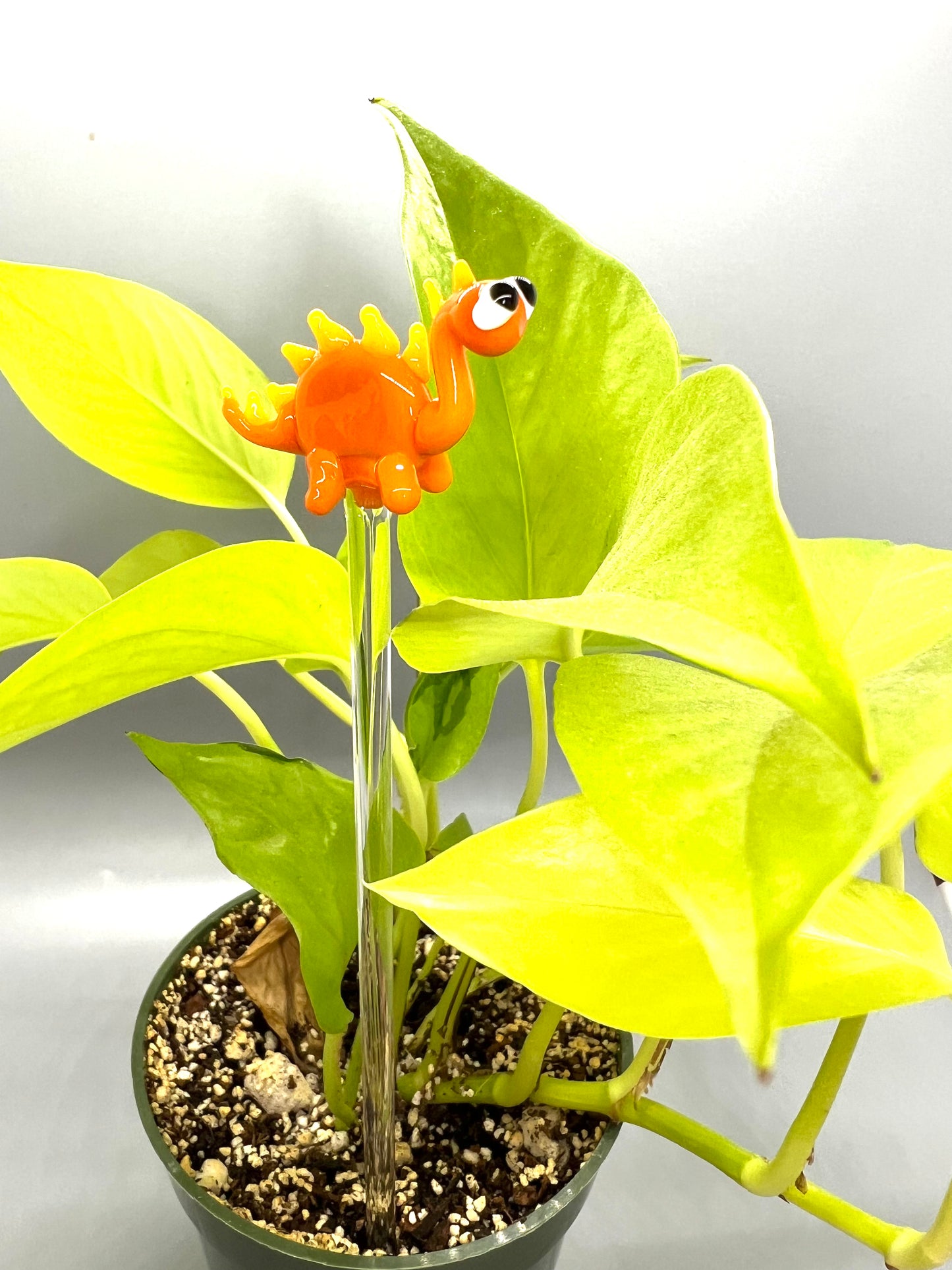 Orange Dinosaur Glass Plant Stake