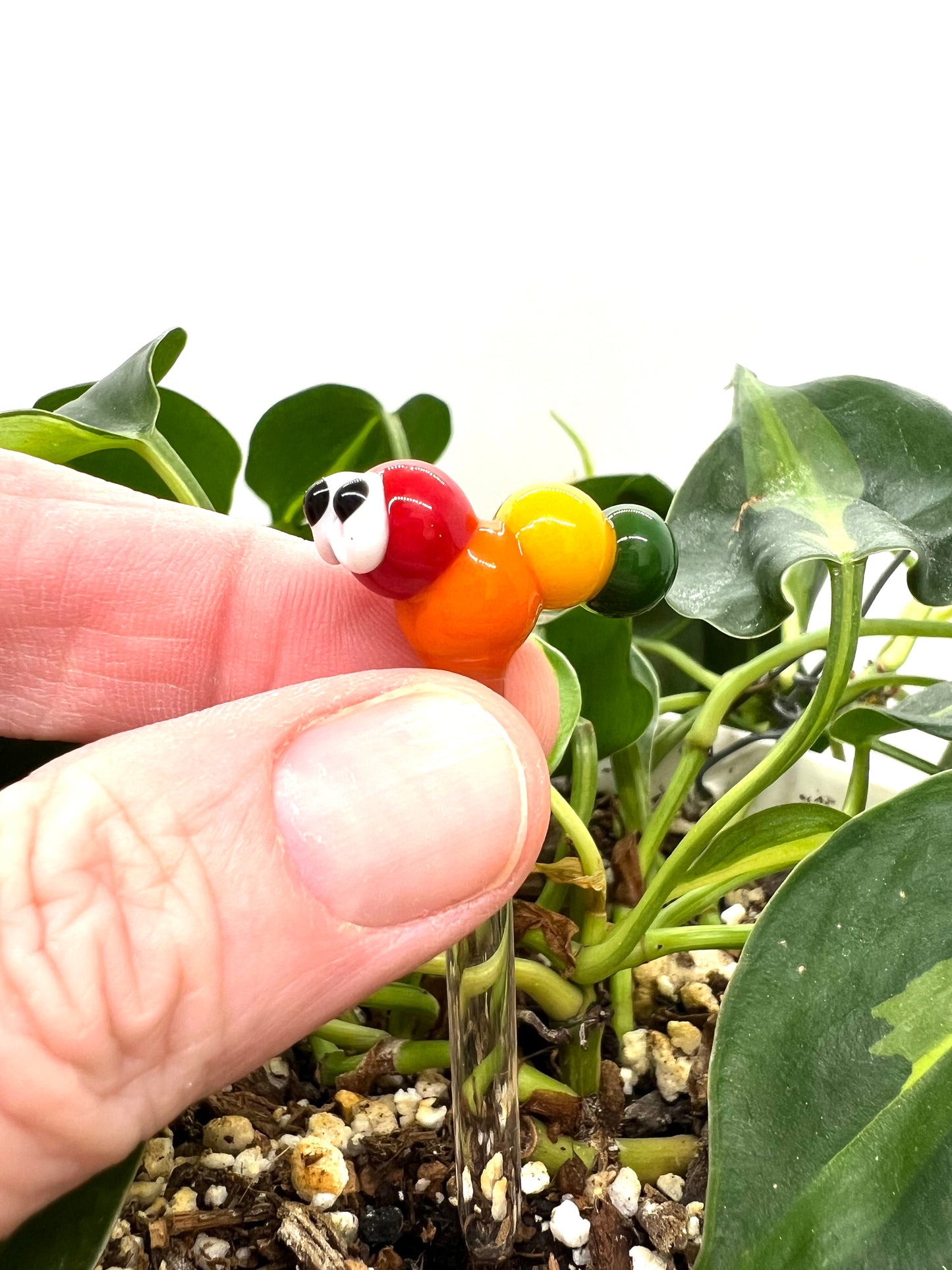 Rainbow Caterpillar Plant Stake