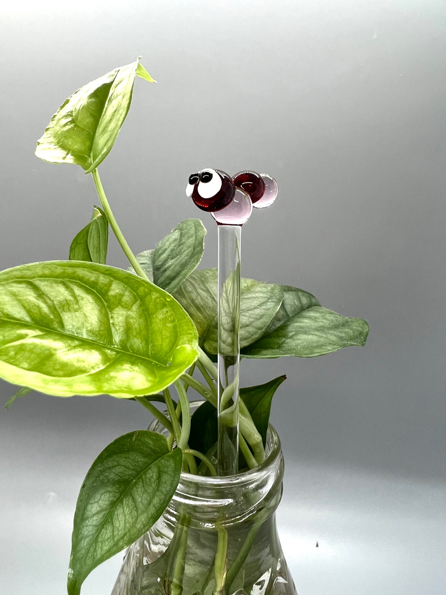 Valentines Caterpillar Glass Plant Stake