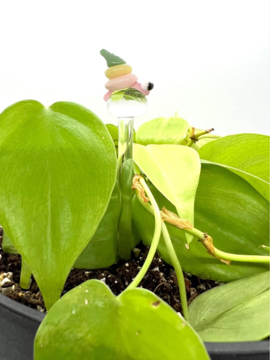 Pastel Snail Plant Stake