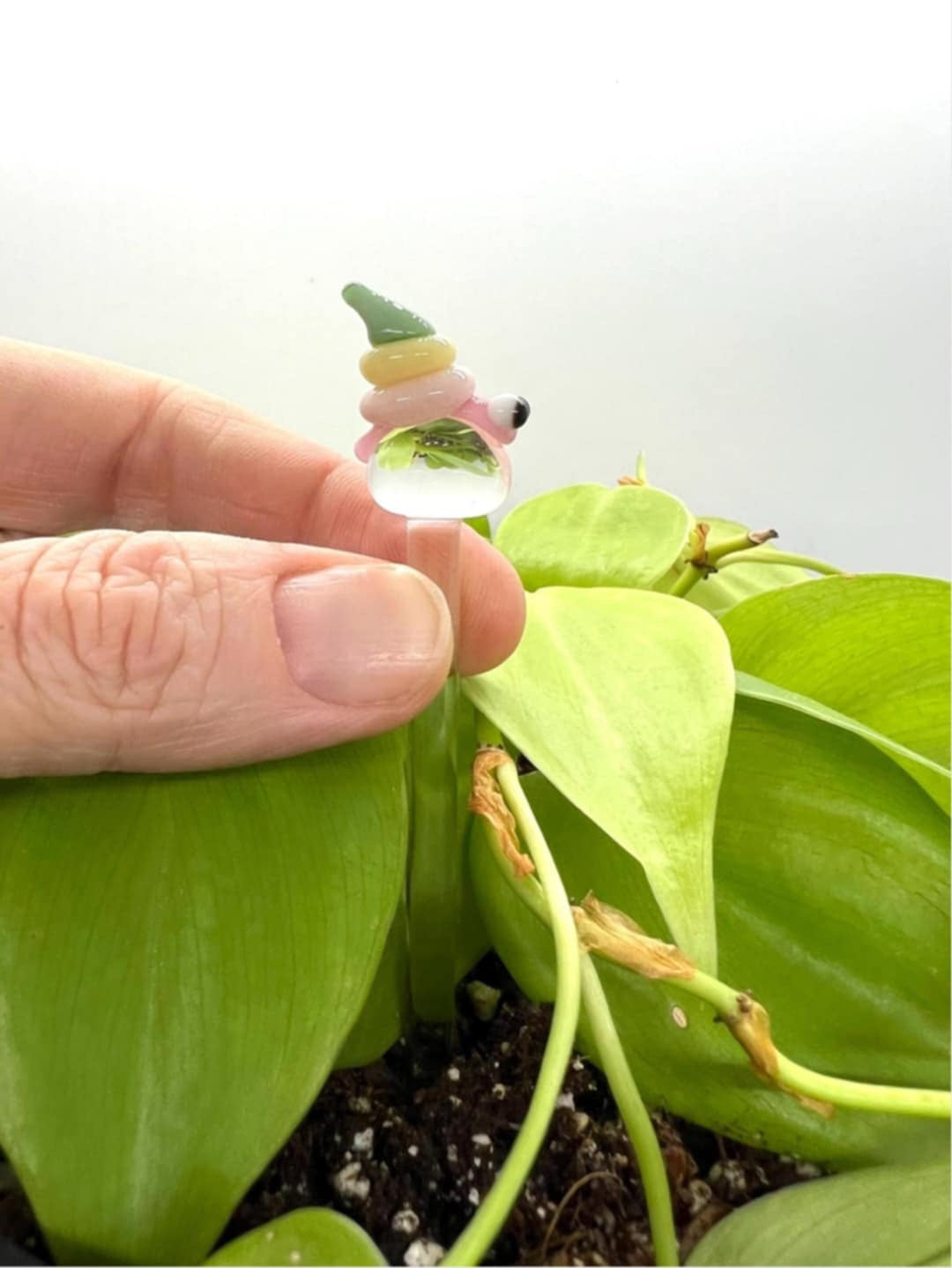 Pastel Snail Plant Stake