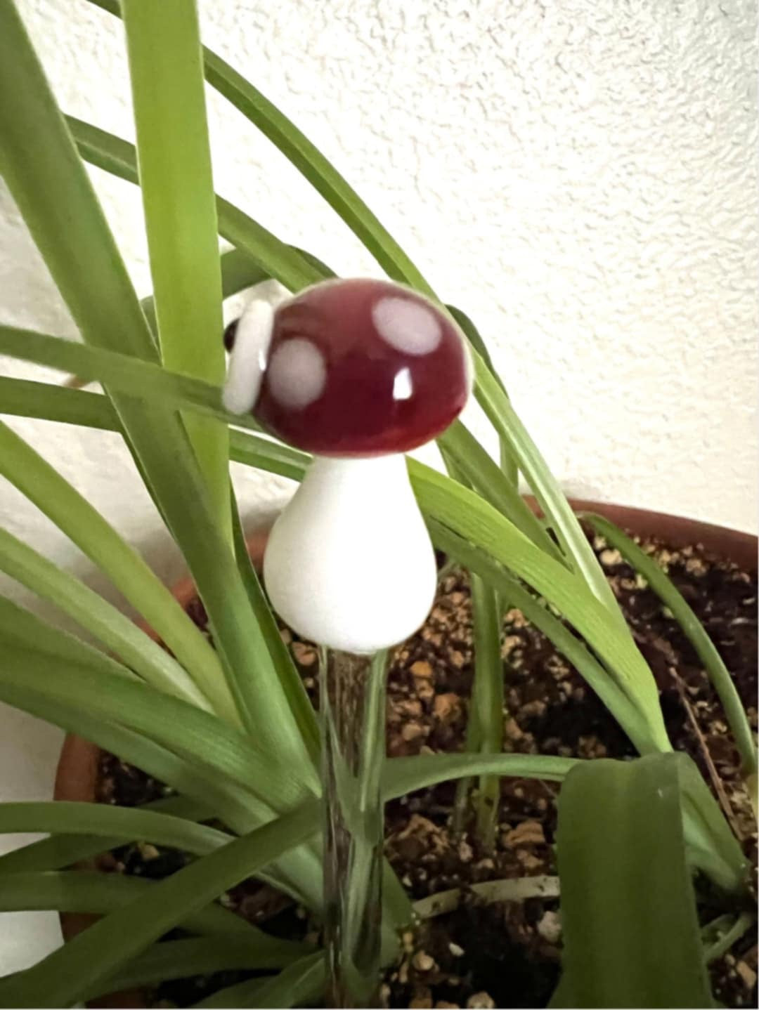 Silly Mushroom Plant Stake