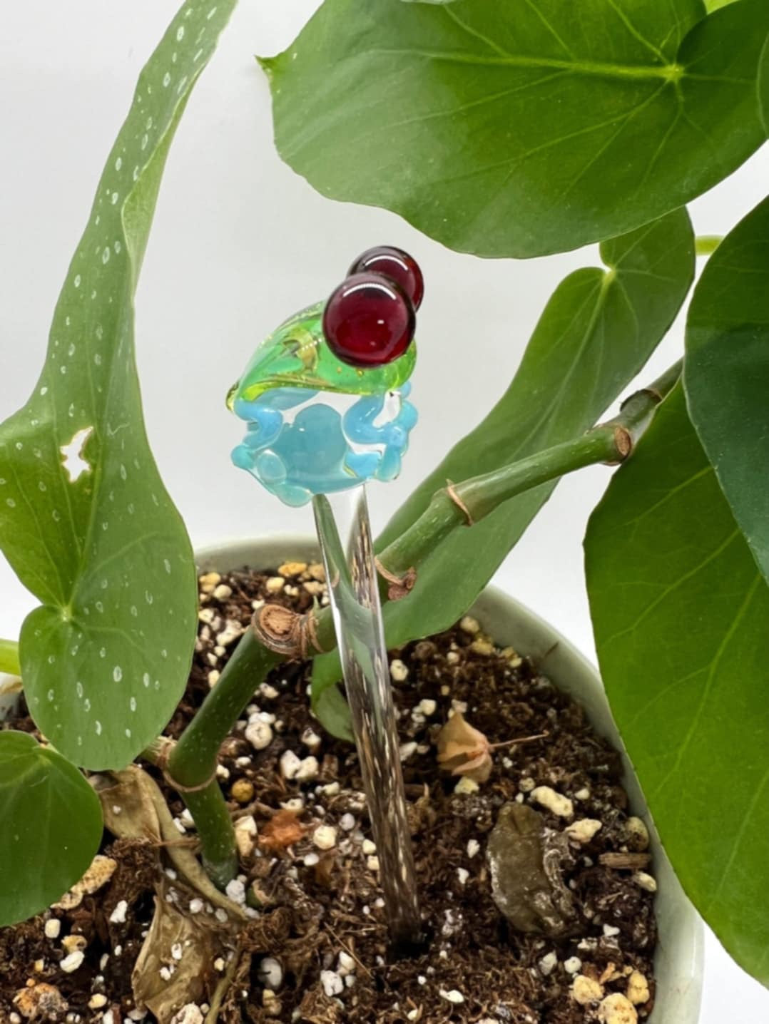 Tree Frog Plant Stake
