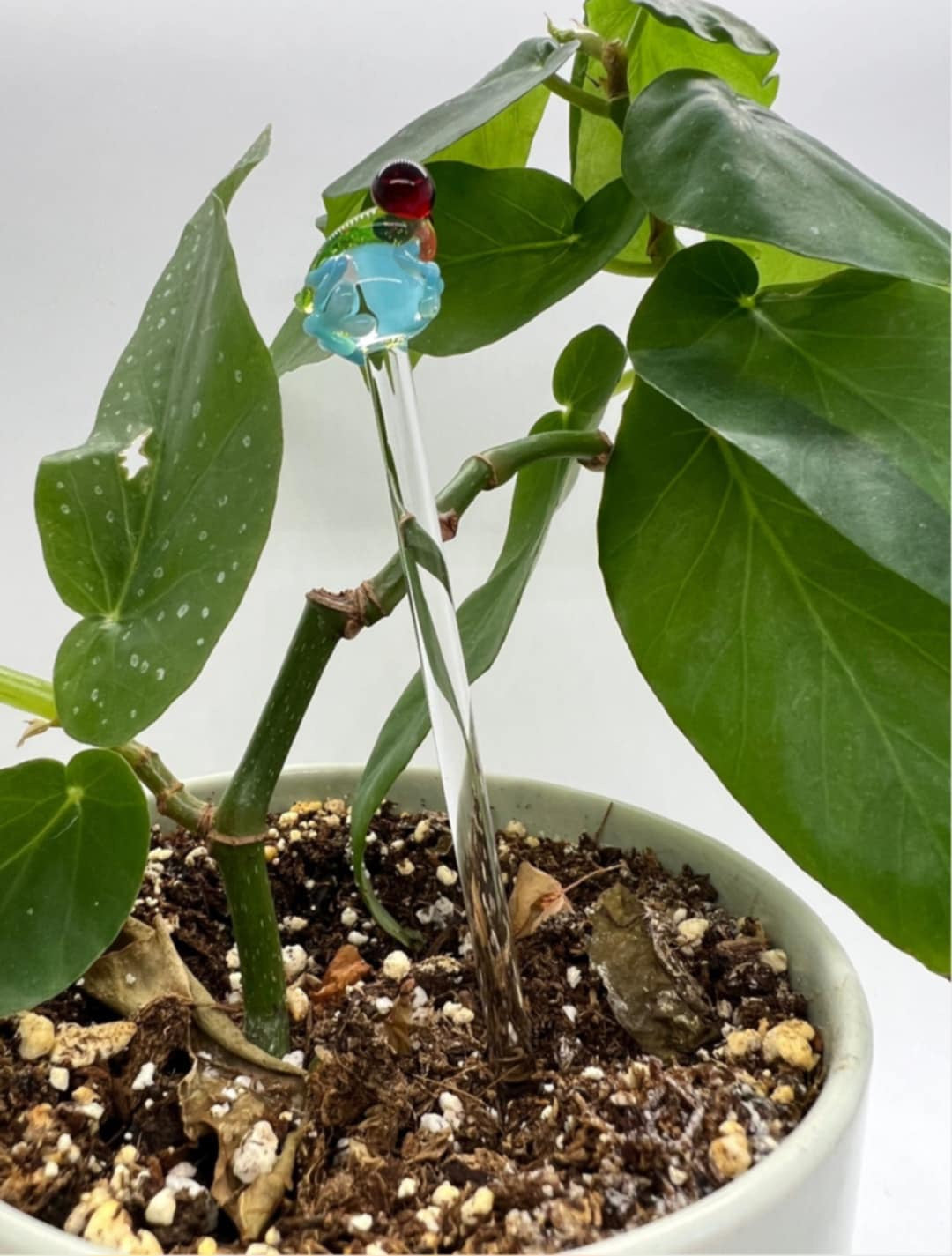 Tree Frog Plant Stake