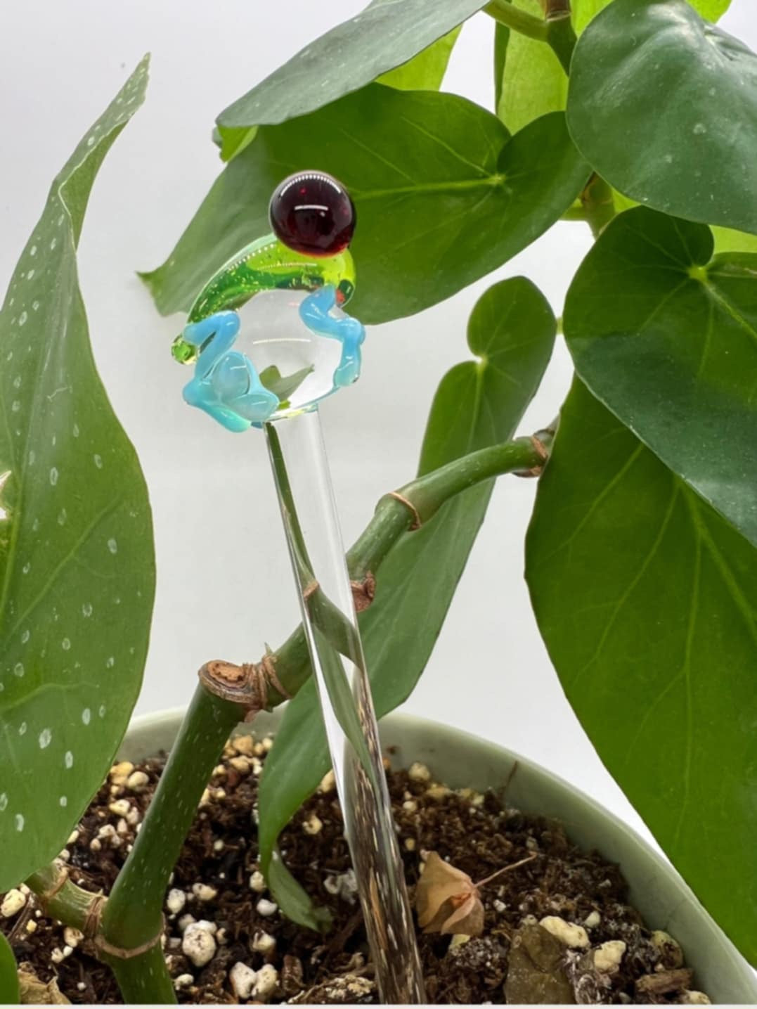 Tree Frog Plant Stake