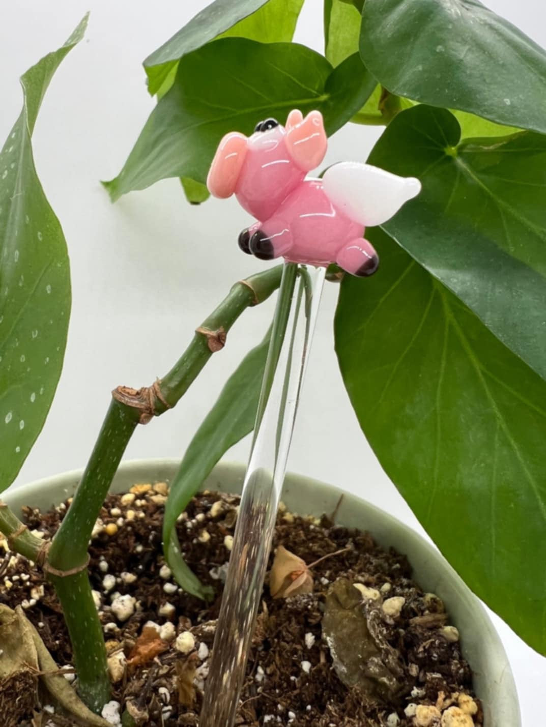 Flying Pink Pig Glass Plant Stake