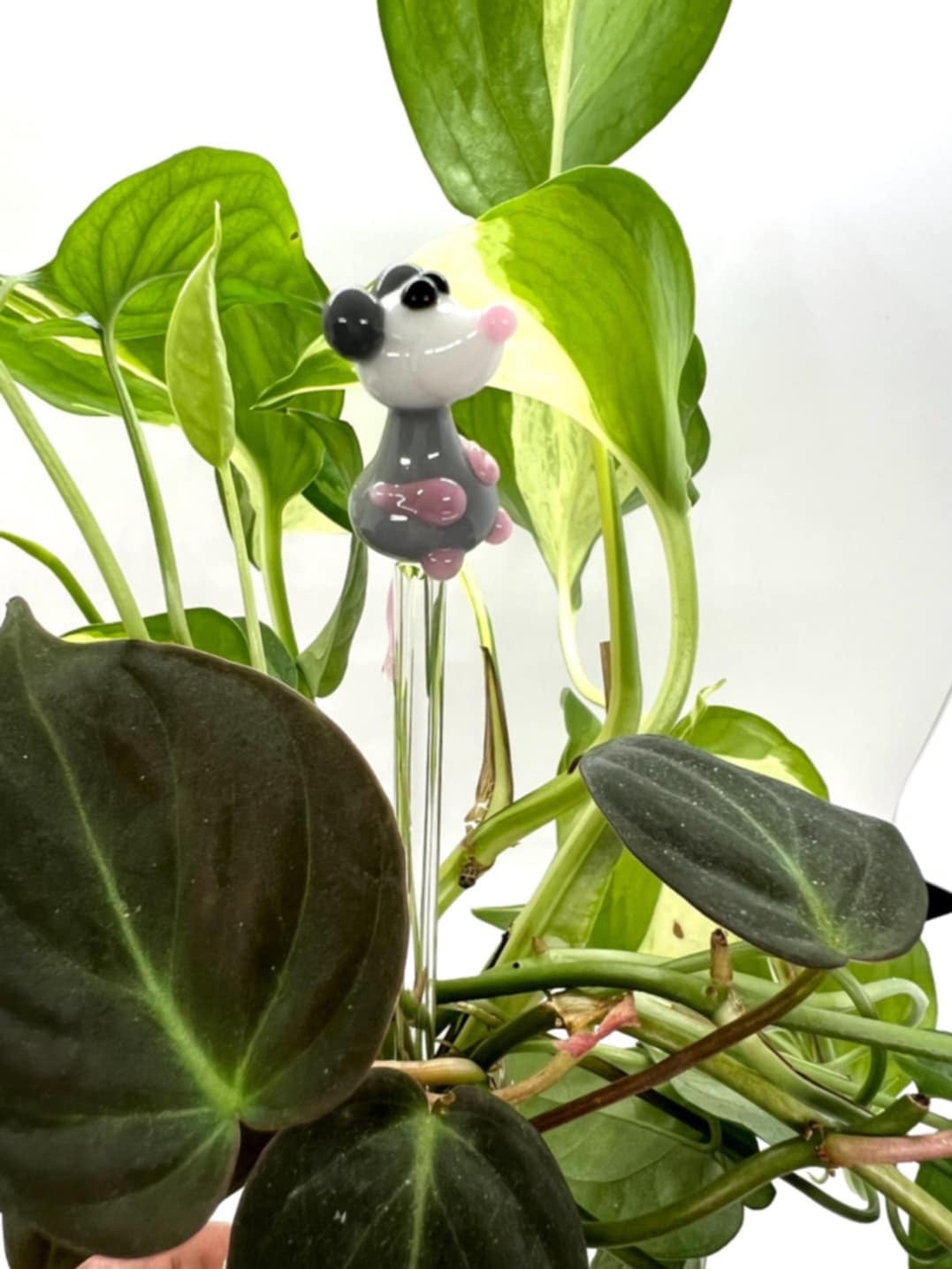 Possum Glass Plant Stake