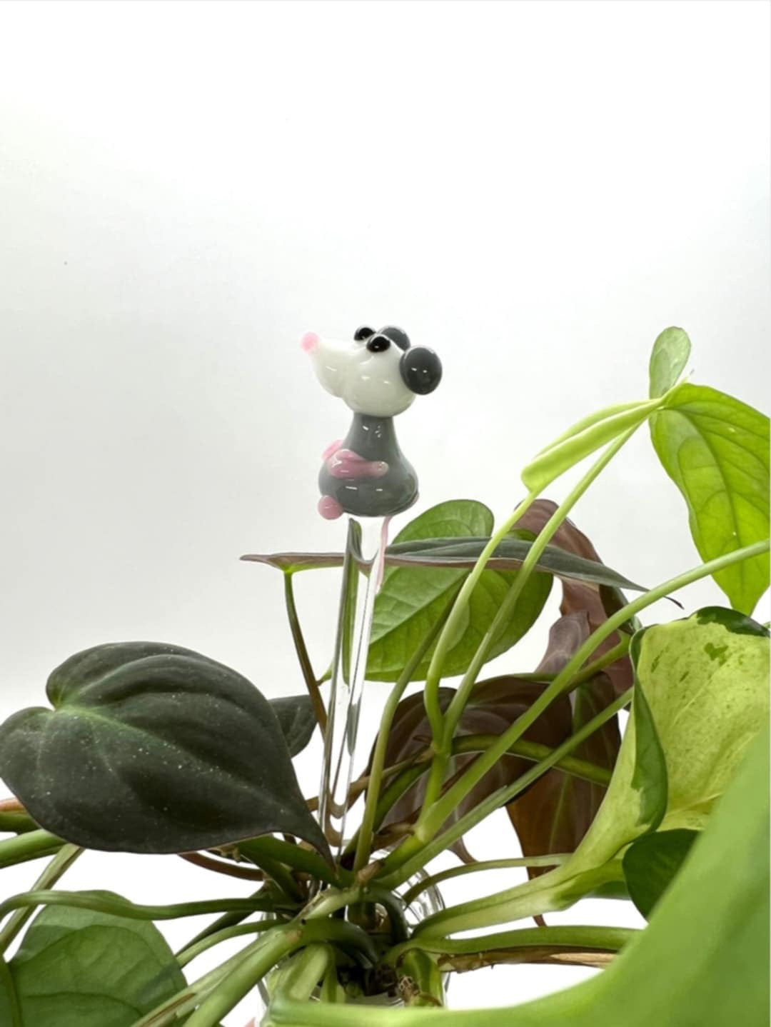 Possum Glass Plant Stake