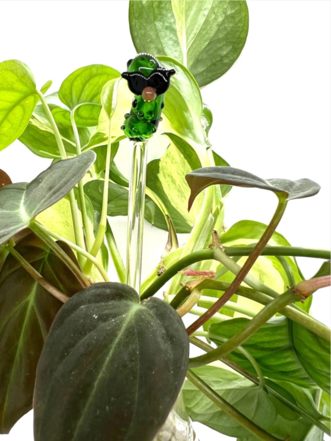 Dill Pickle Glass Plant Stake