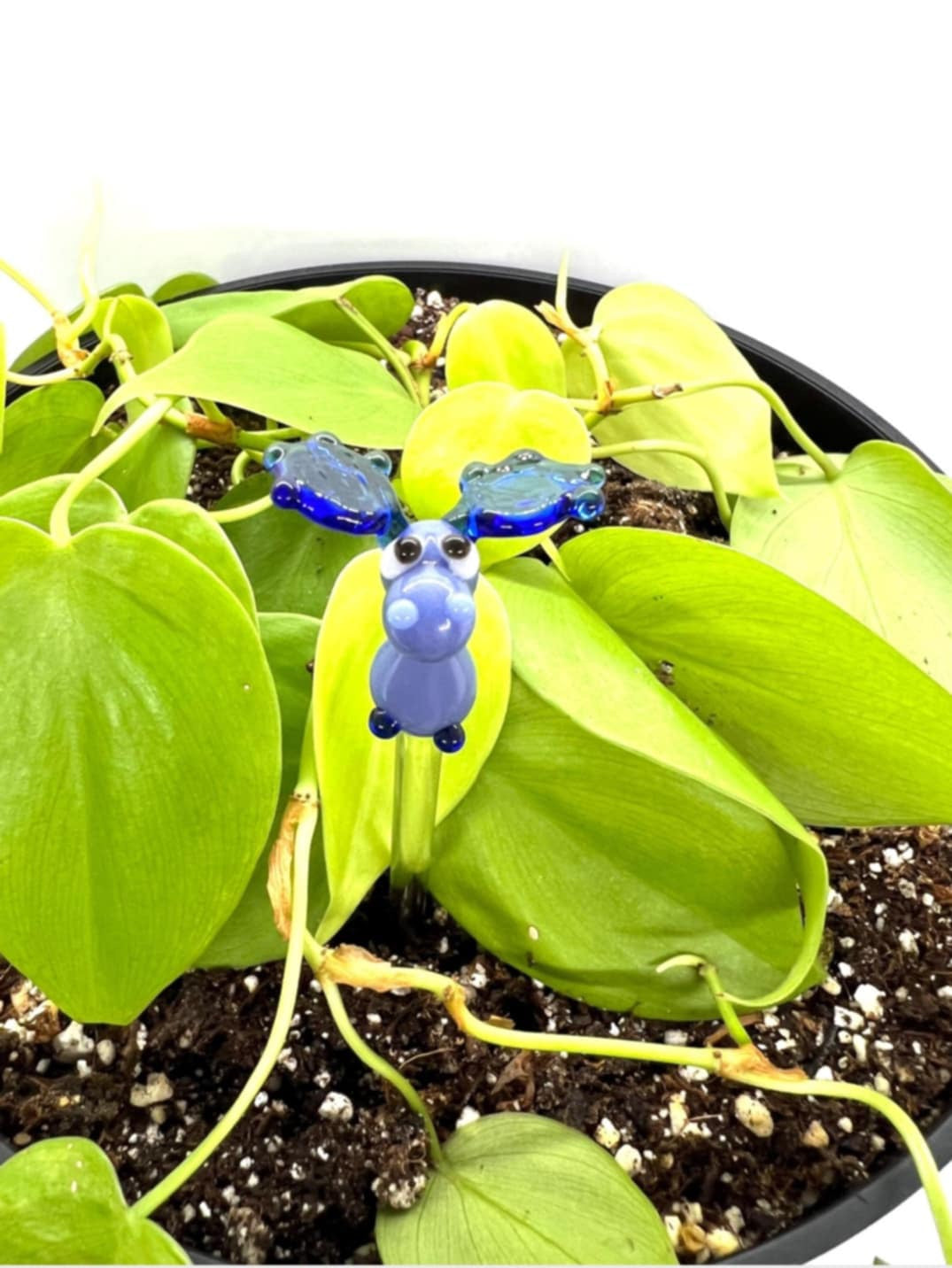 Blue Moose Plant Stake