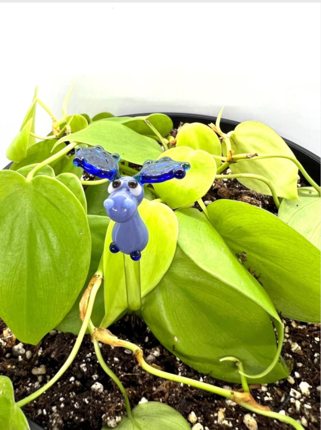 Blue Moose Plant Stake