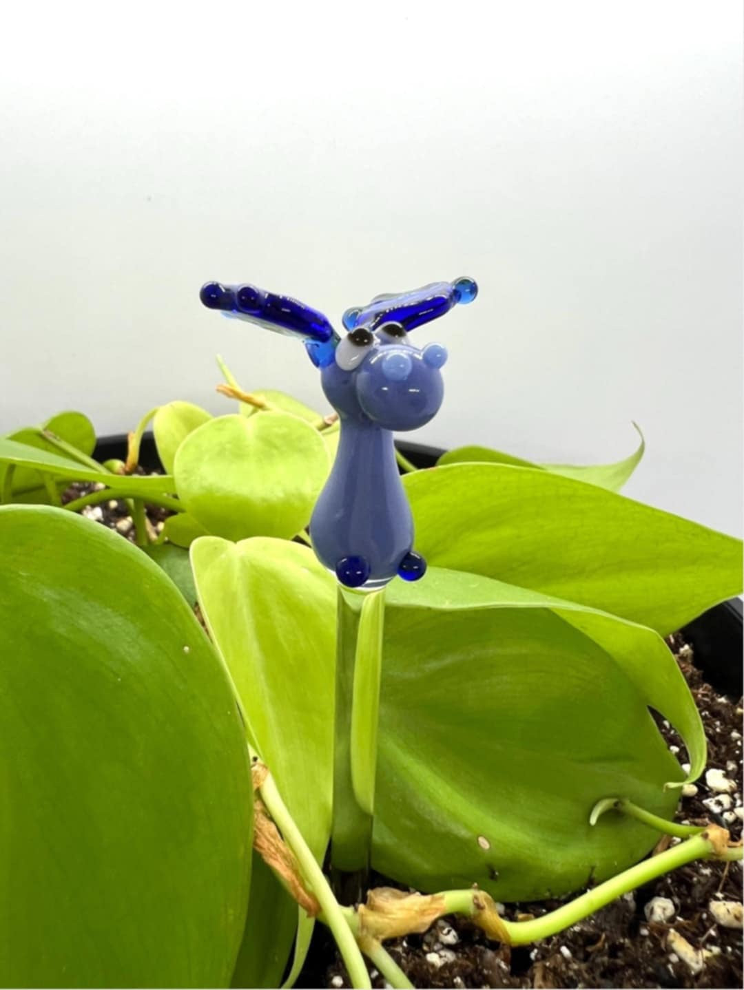 Blue Moose Plant Stake