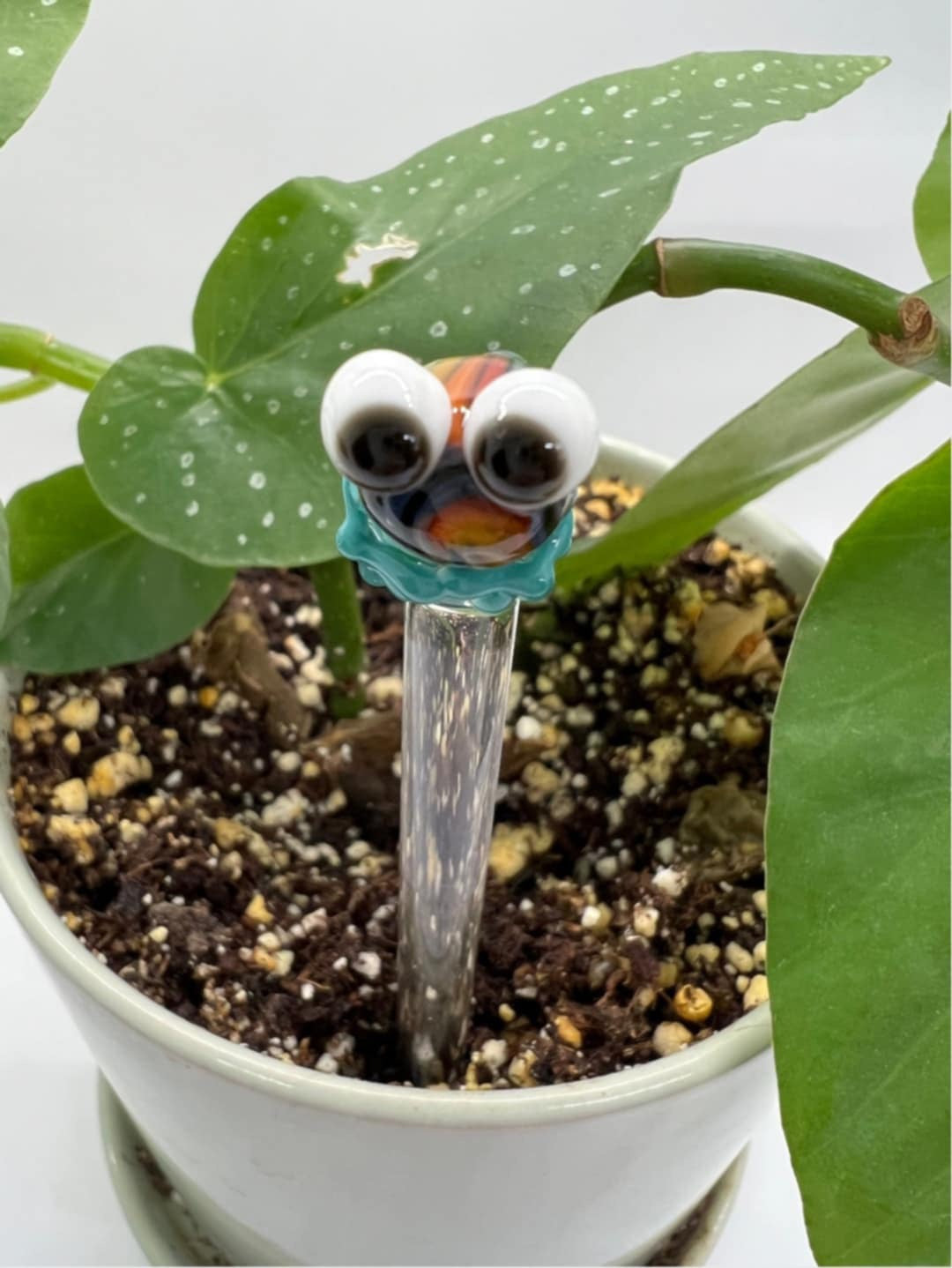Rainbow Frog Glass Plant Stake
