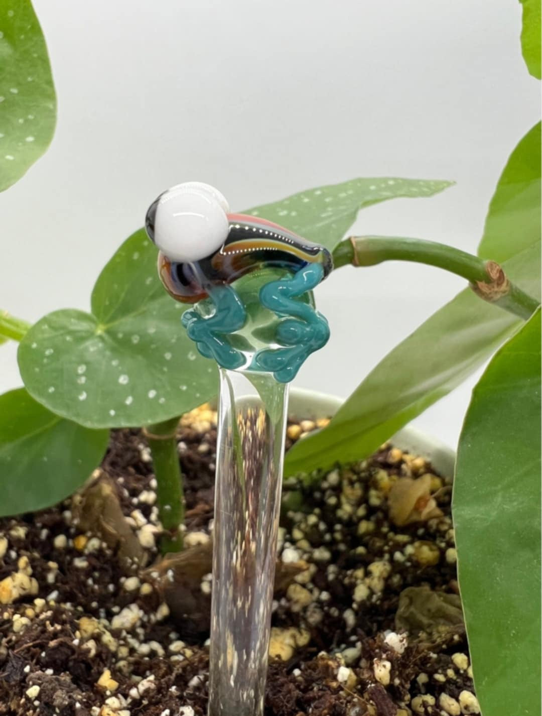 Rainbow Frog Glass Plant Stake