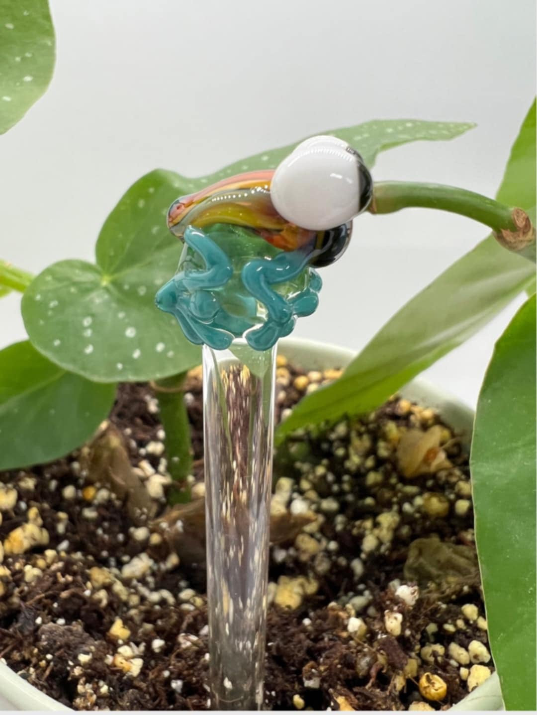 Rainbow Frog Glass Plant Stake