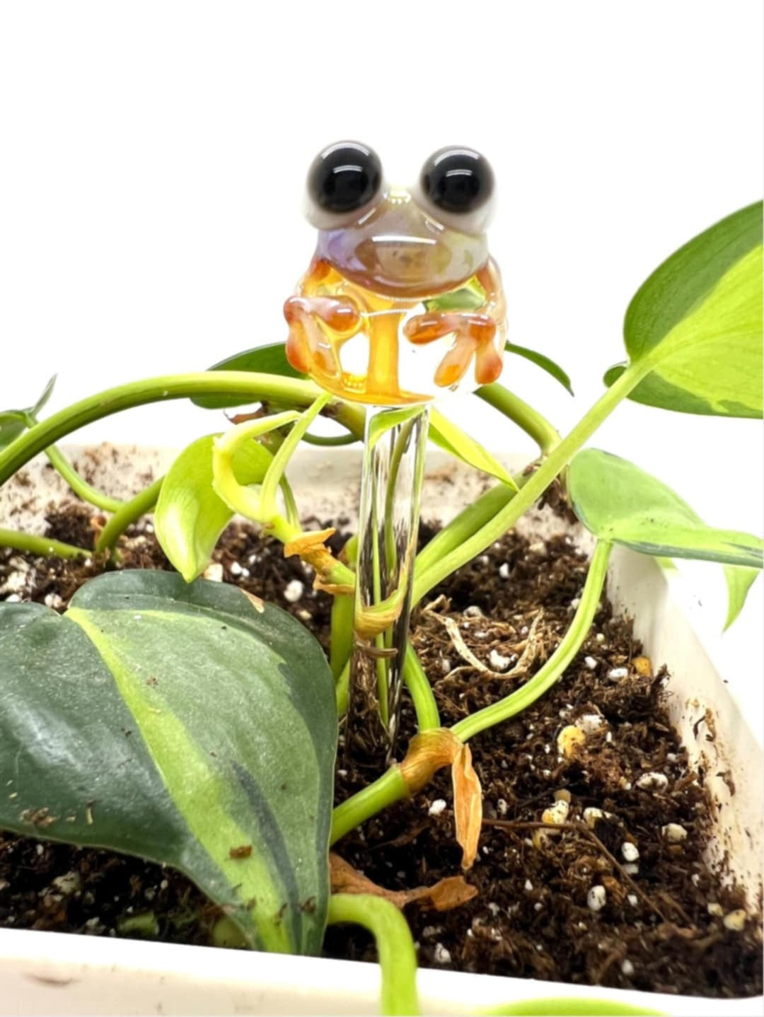 Caramel Frog Glass Plant Stake