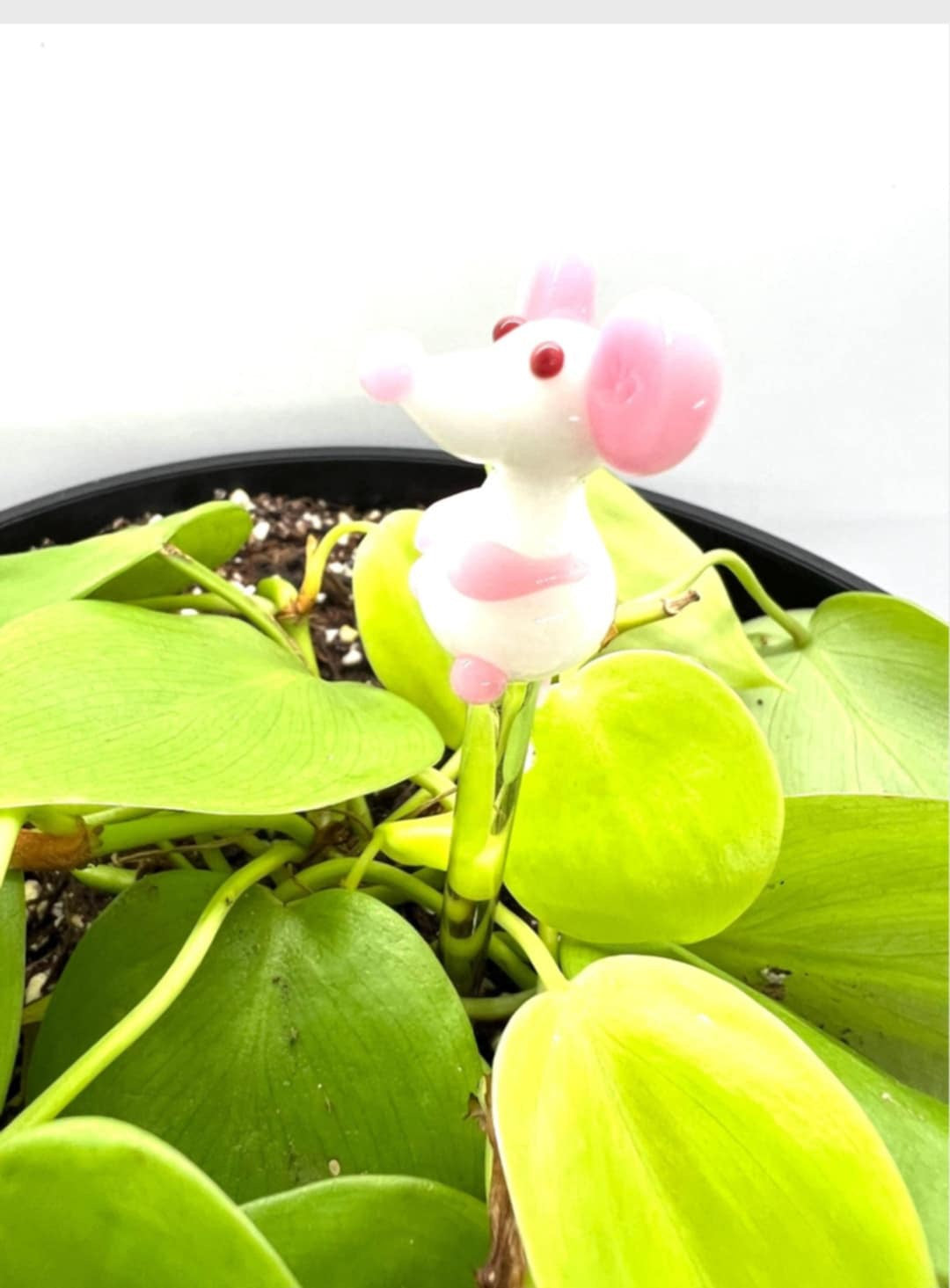 White Mouse Glass Plant Stake