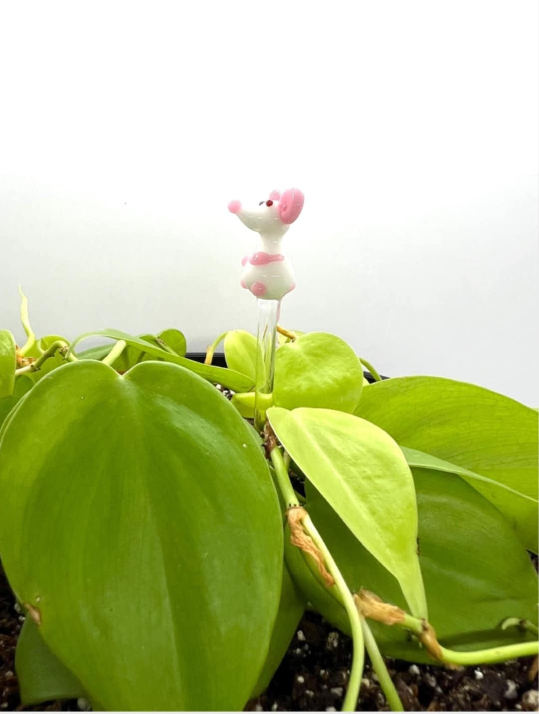White Mouse Glass Plant Stake
