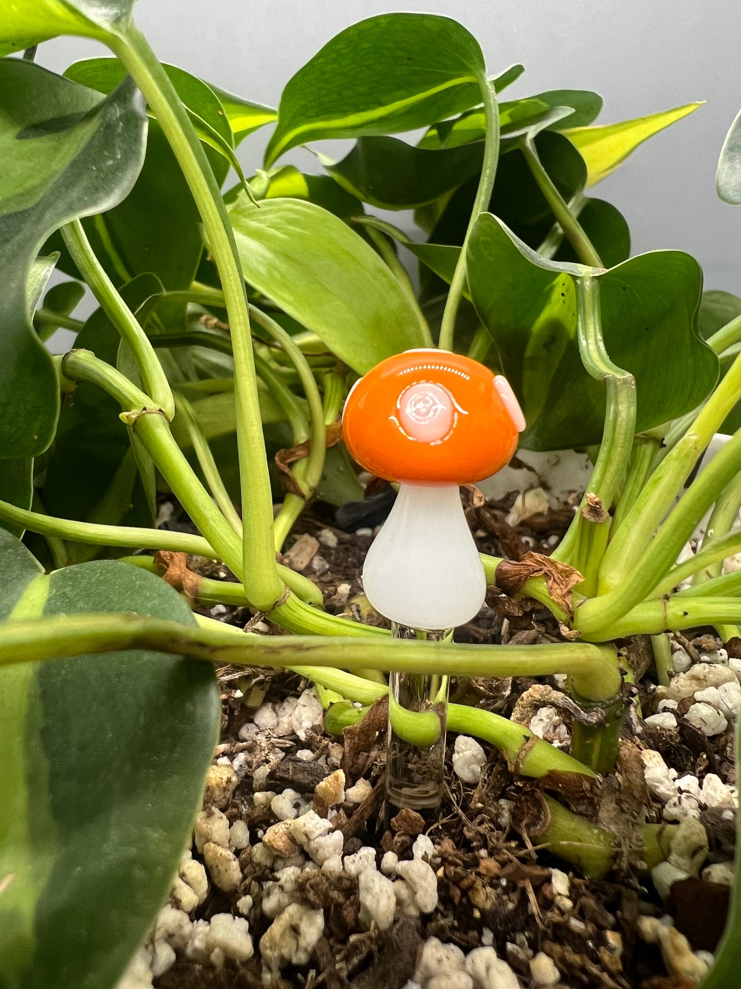 Mushroom Plant Stake