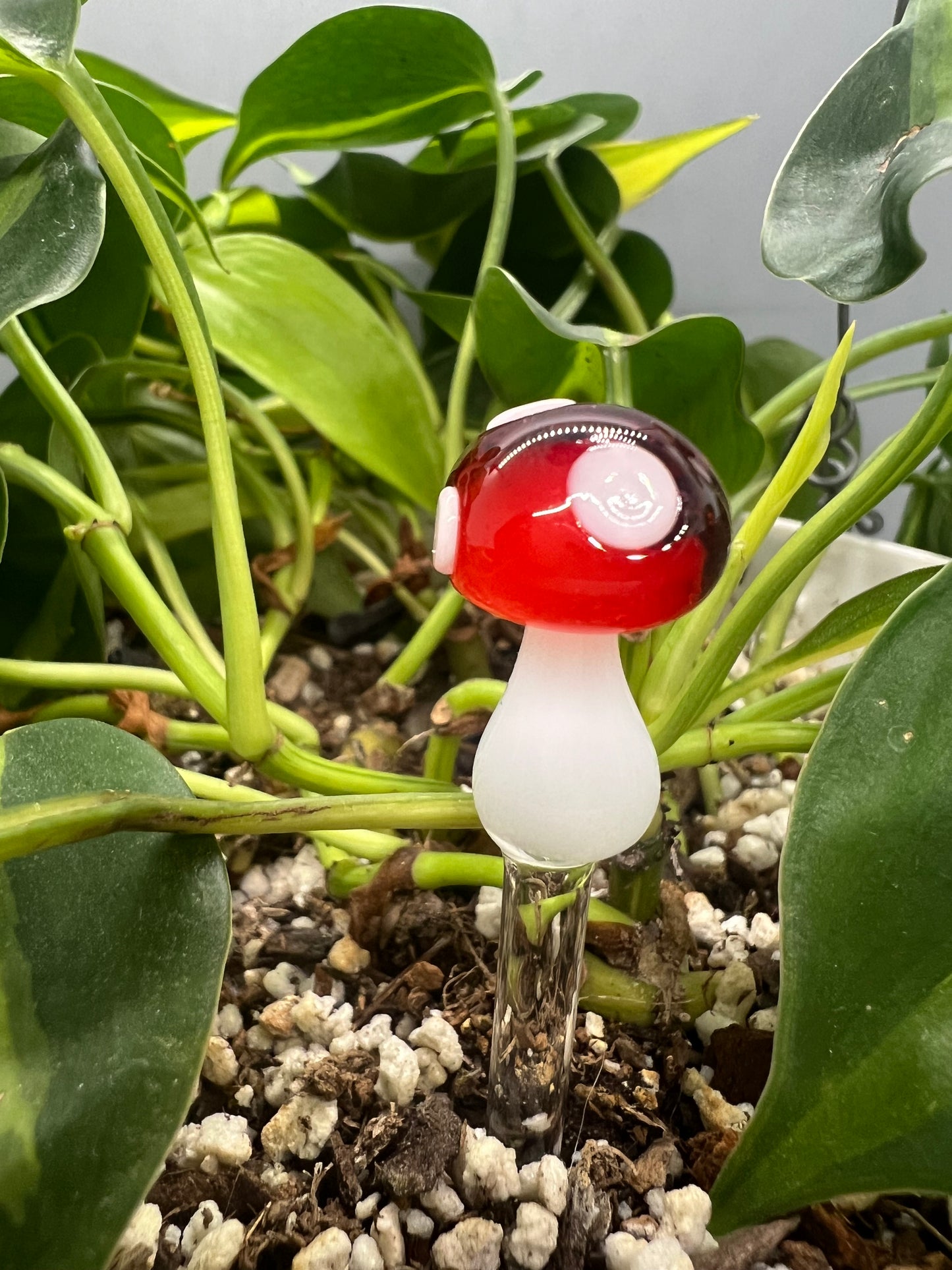 Mushroom Plant Stake