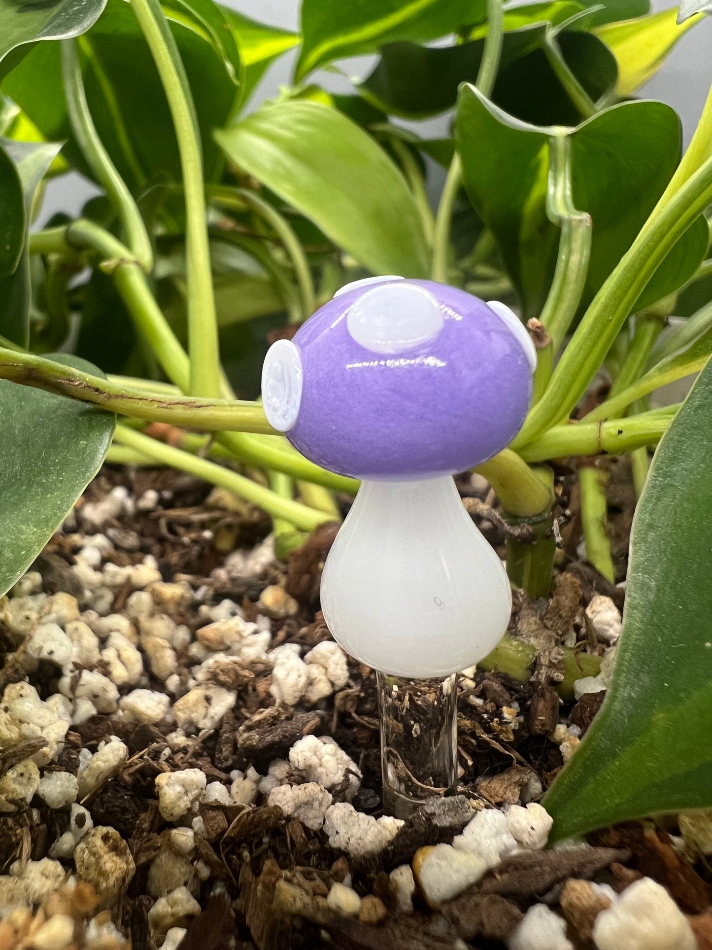 Mushroom Plant Stake