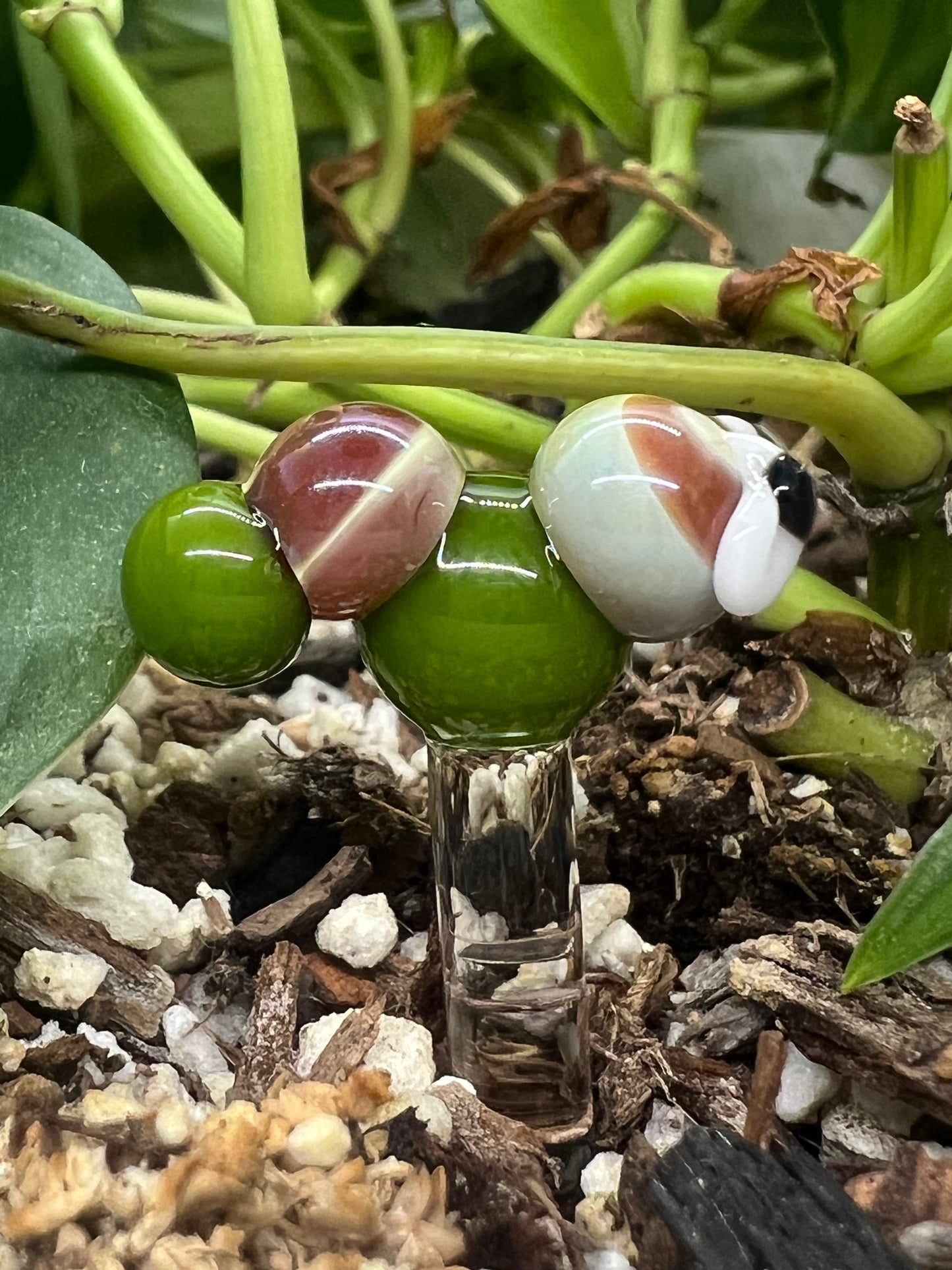 Caramel and Green Caterpillar Plant Stake