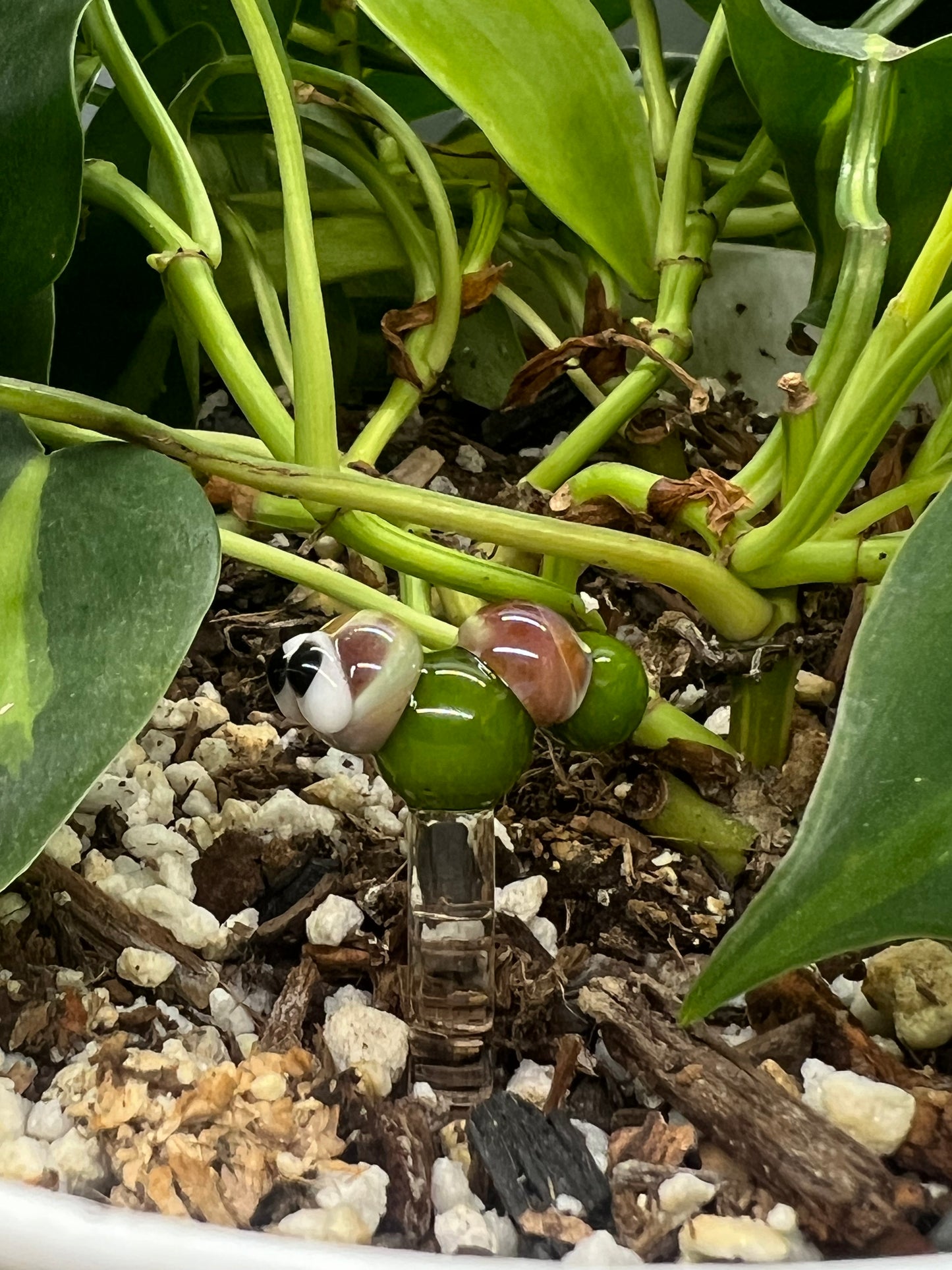 Caramel and Green Caterpillar Plant Stake
