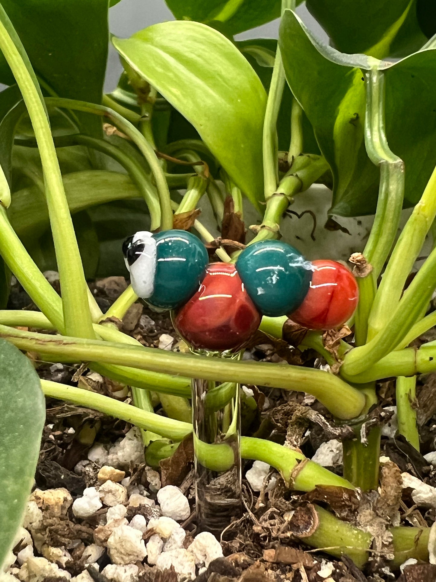 Aqua and Red Caterpillar Plant Stake