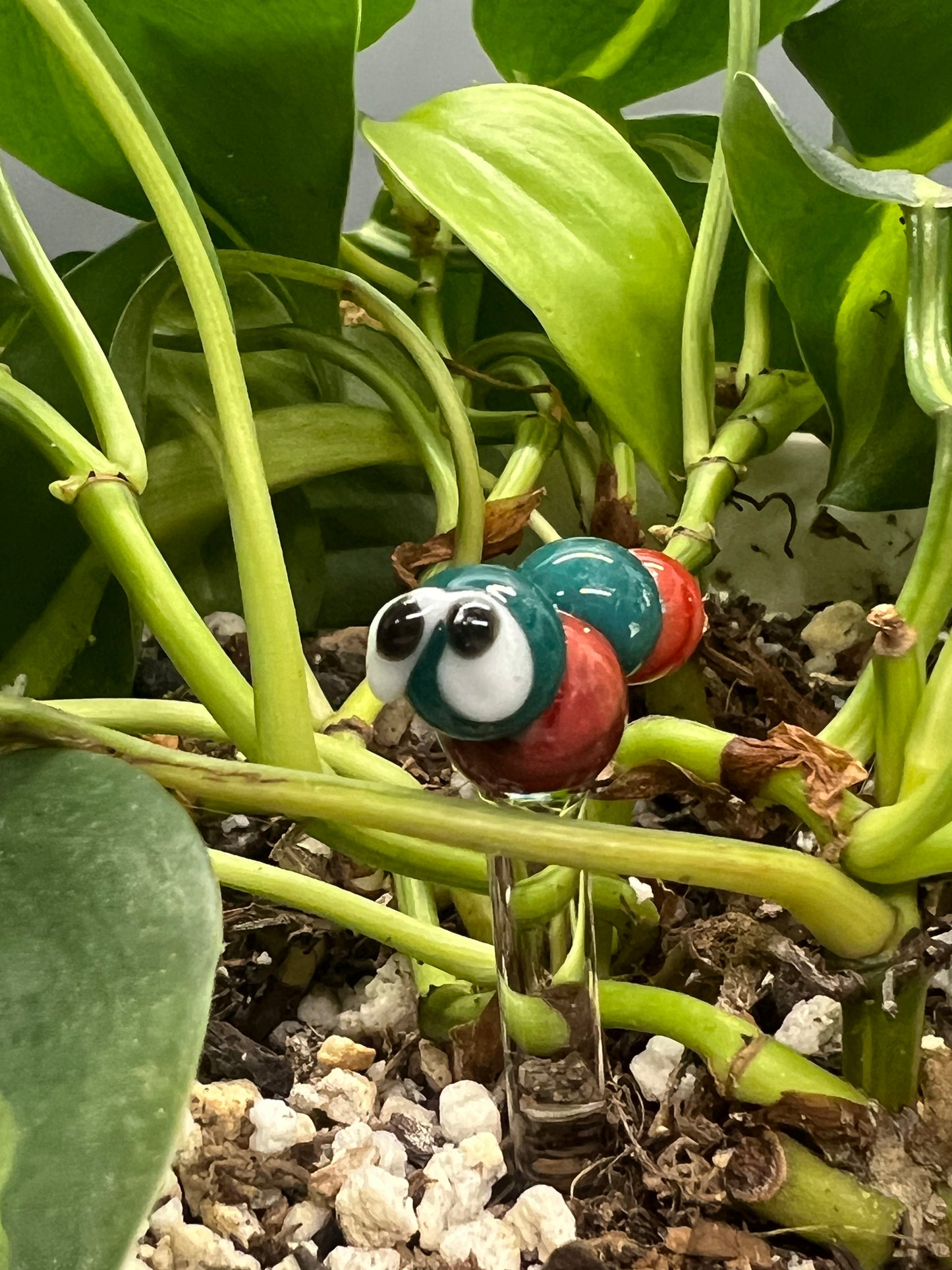 Aqua and Red Caterpillar Plant Stake