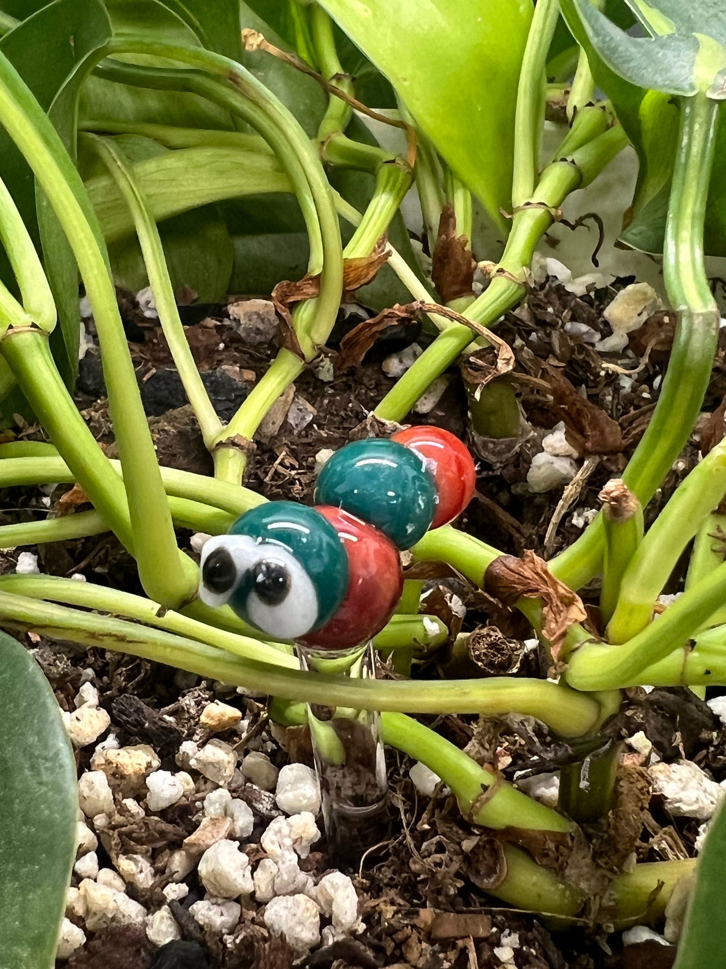 Aqua and Red Caterpillar Plant Stake
